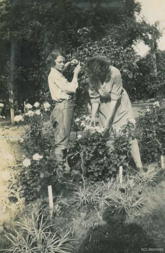 Dunedin Botanic Gardens Women Employees