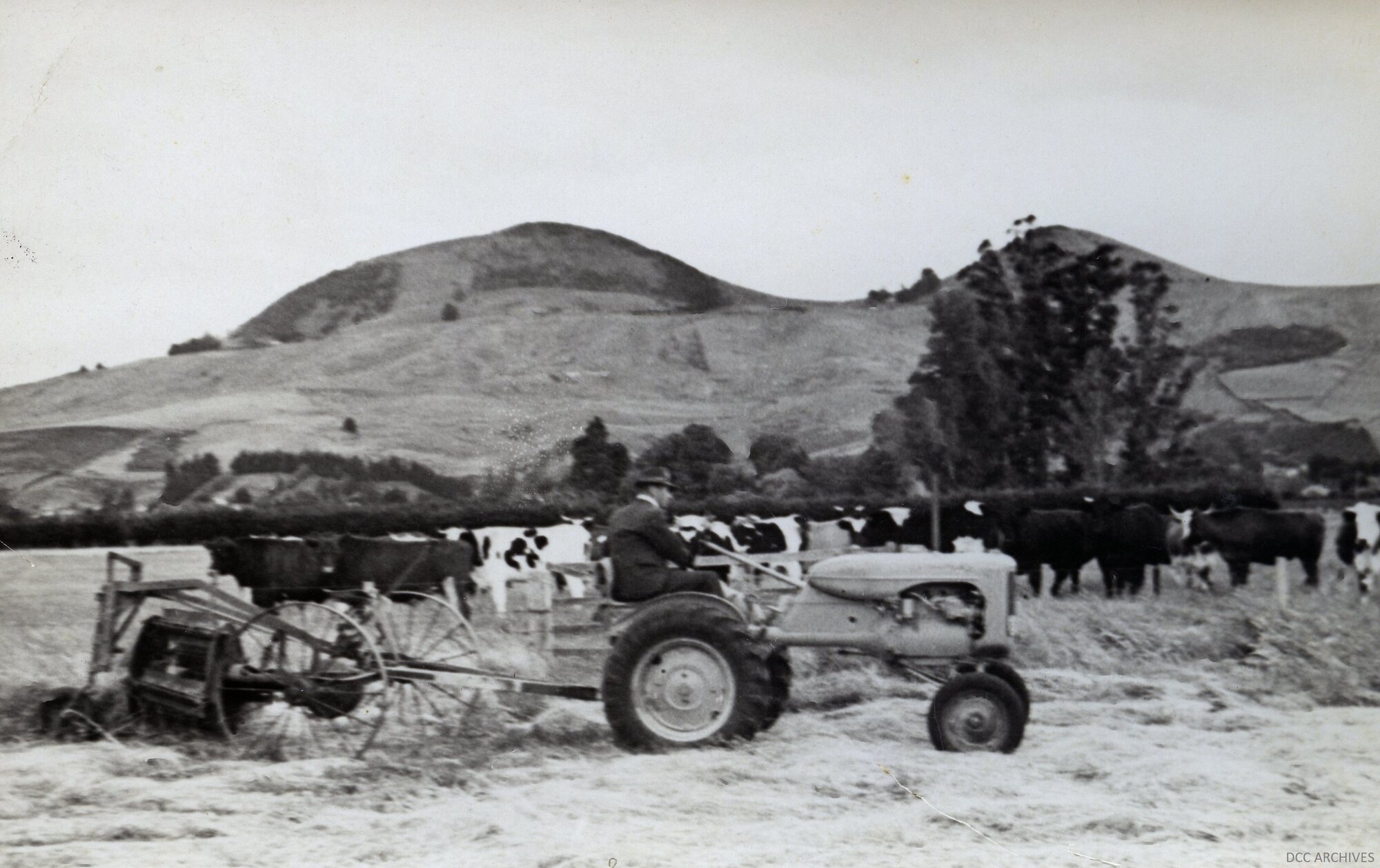 Steele Blackie's Farm, Bush Road Mosgiel