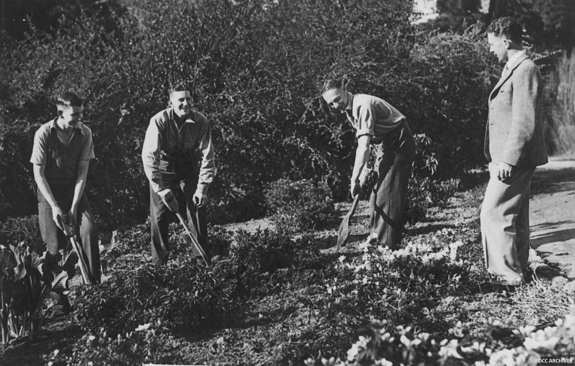 Apprentices Working at the Dunedin Botanic Gardens