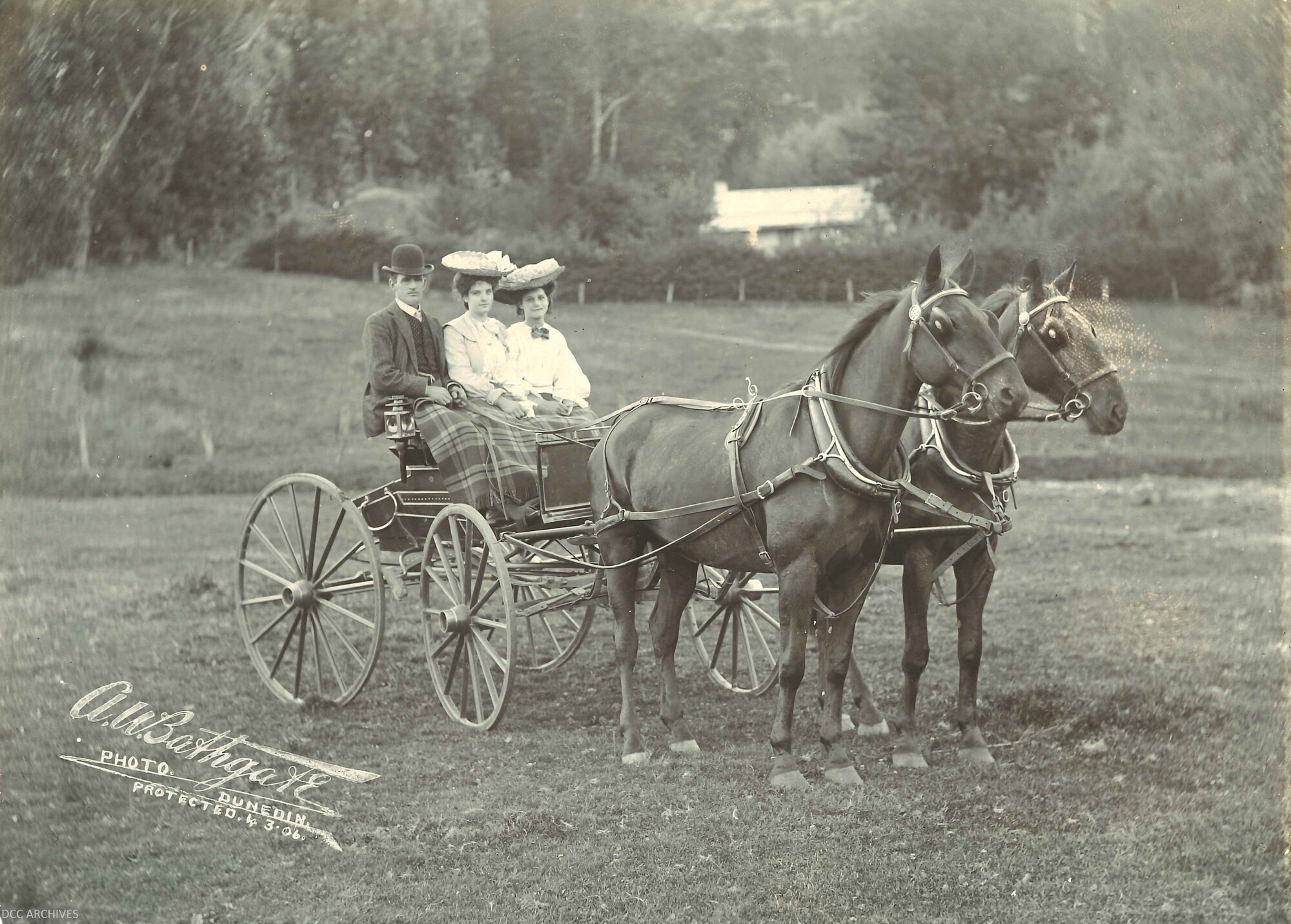 Horse Drawn Carriage