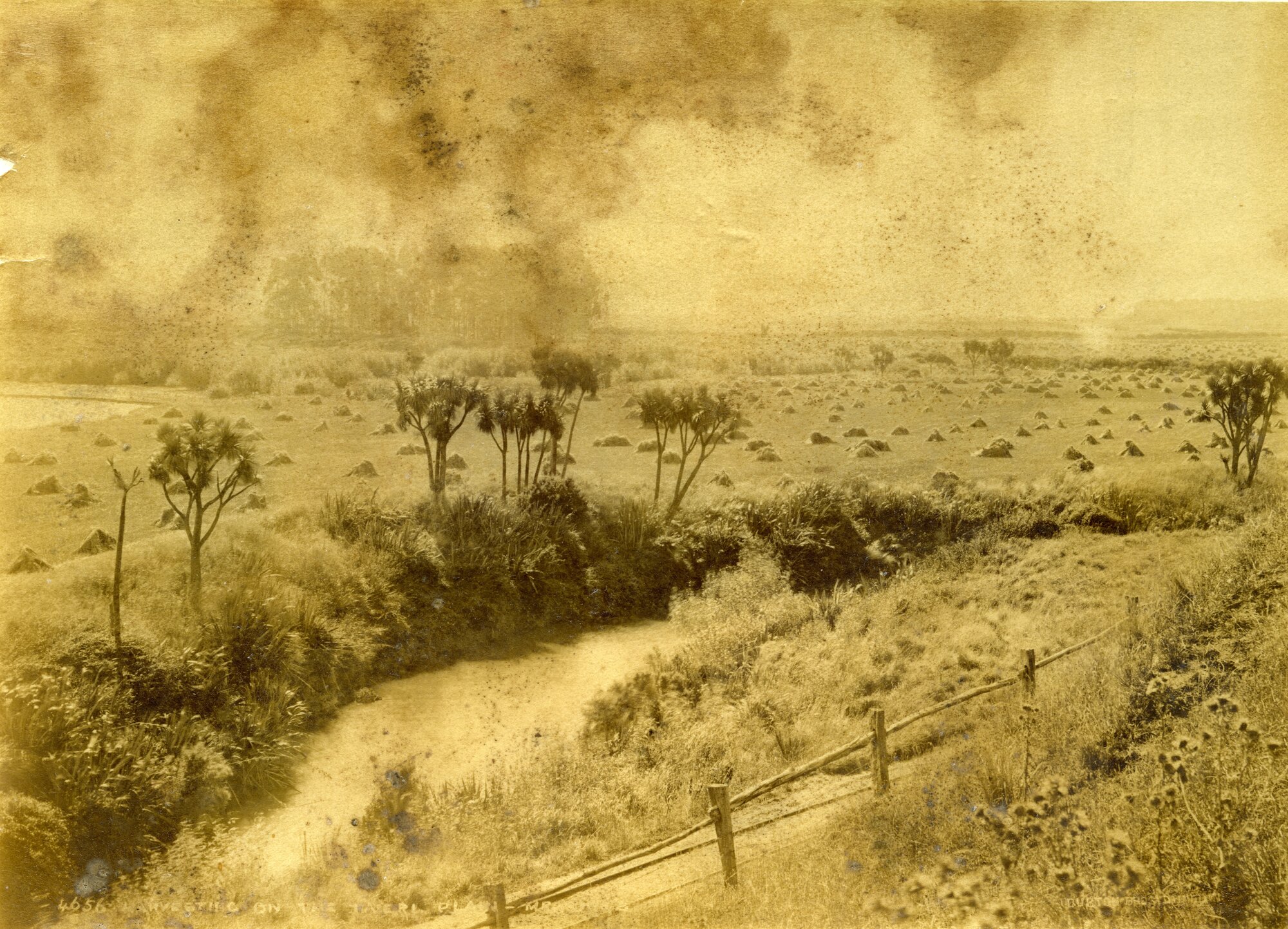 Harvesting on the Taieri Plain, Mr Kirk's Farm
