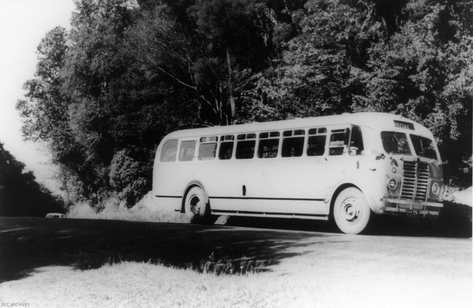 Bus