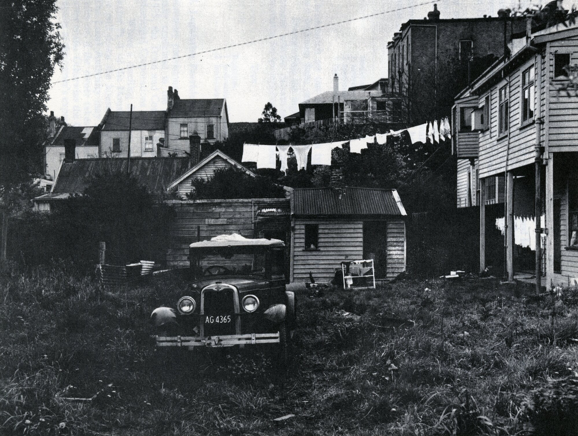 Backyard of 119 &amp; 121 Stafford Street