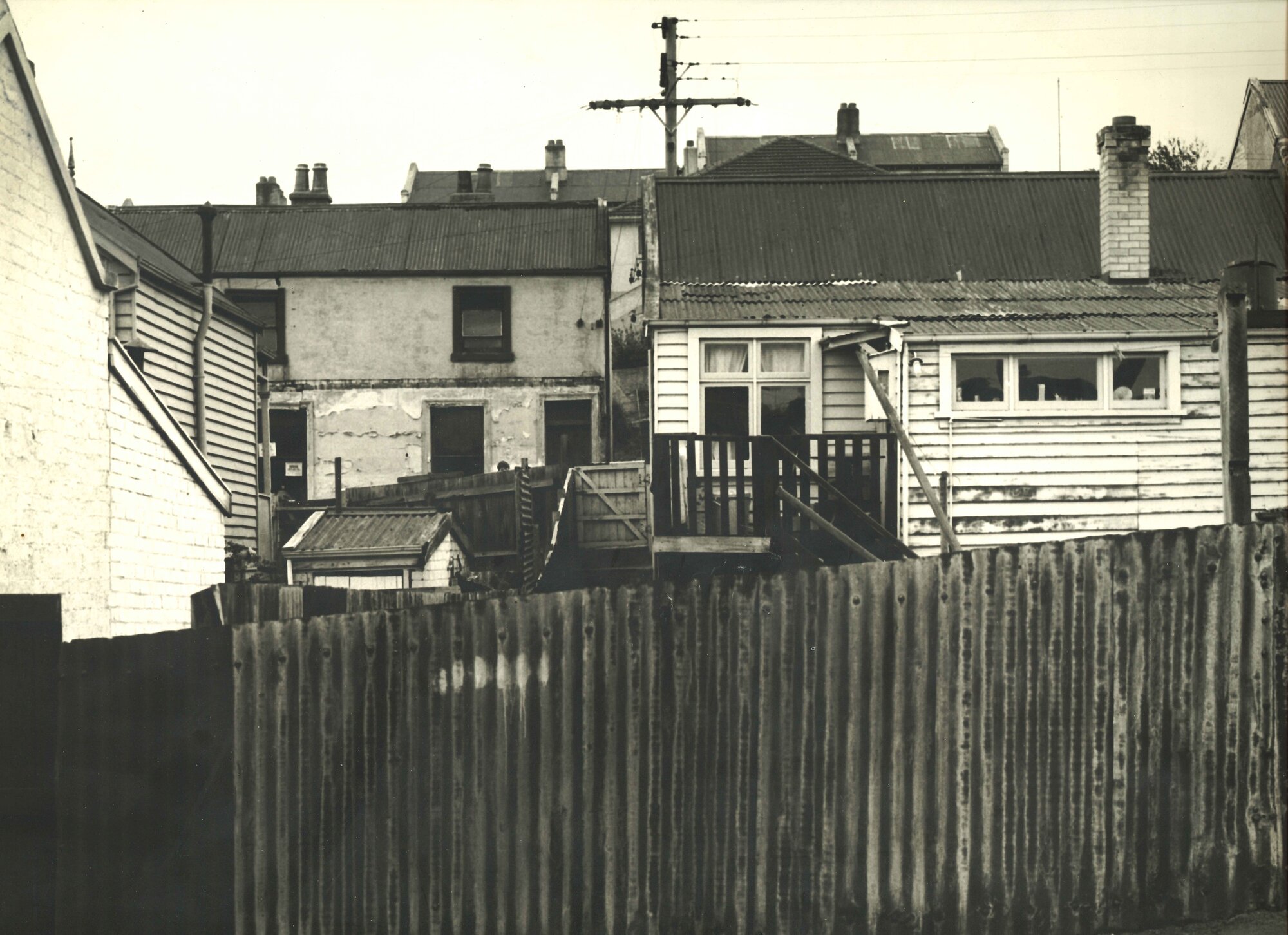 Palymra Street Backyards