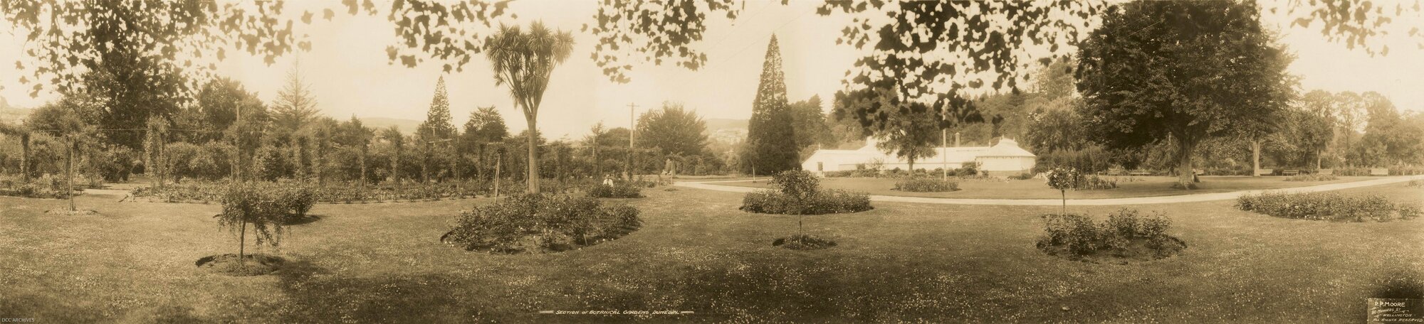 Panorama of Lower Gardens at Dunedin Botanic Gardens