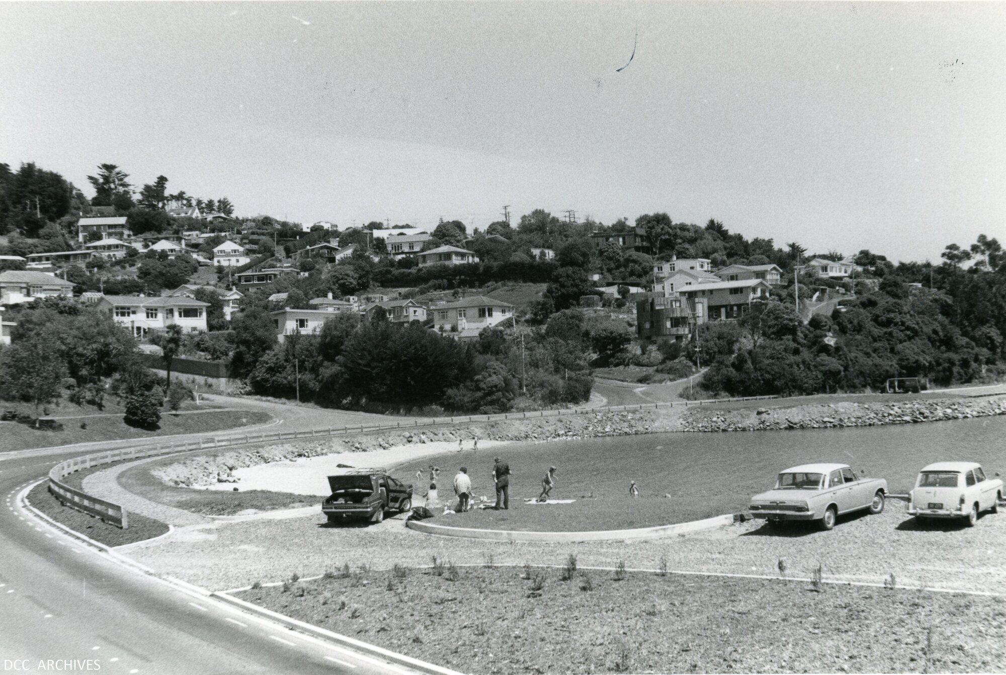 Macandrew Bay Beach