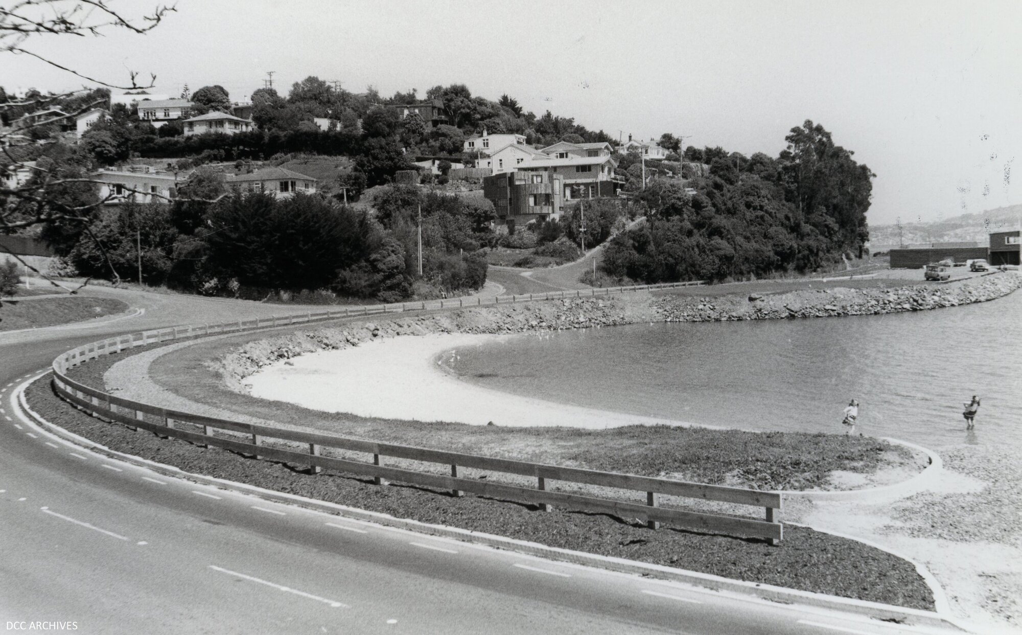 Macandrew Bay Beach