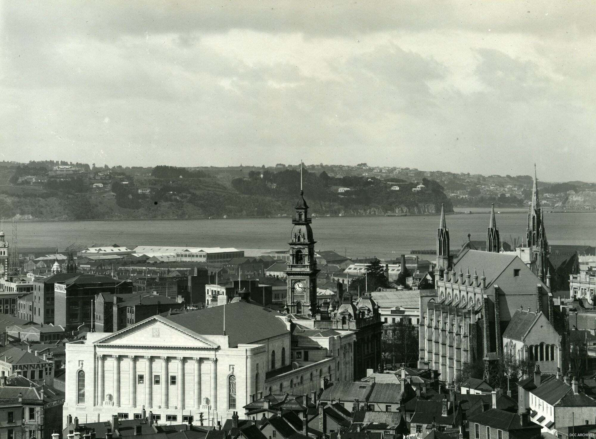 A View of Dunedin Looking South