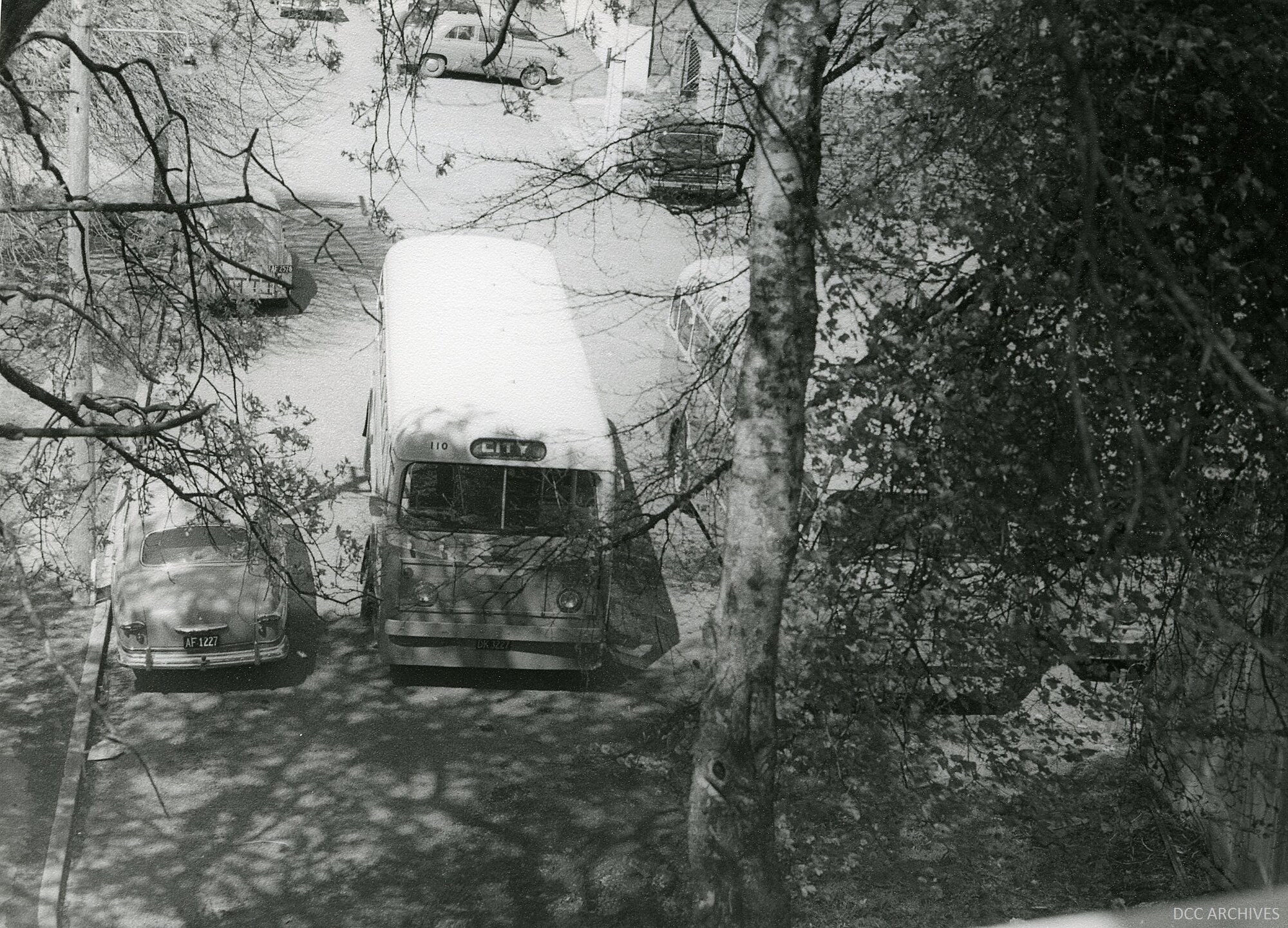 Buses at Market Reserve