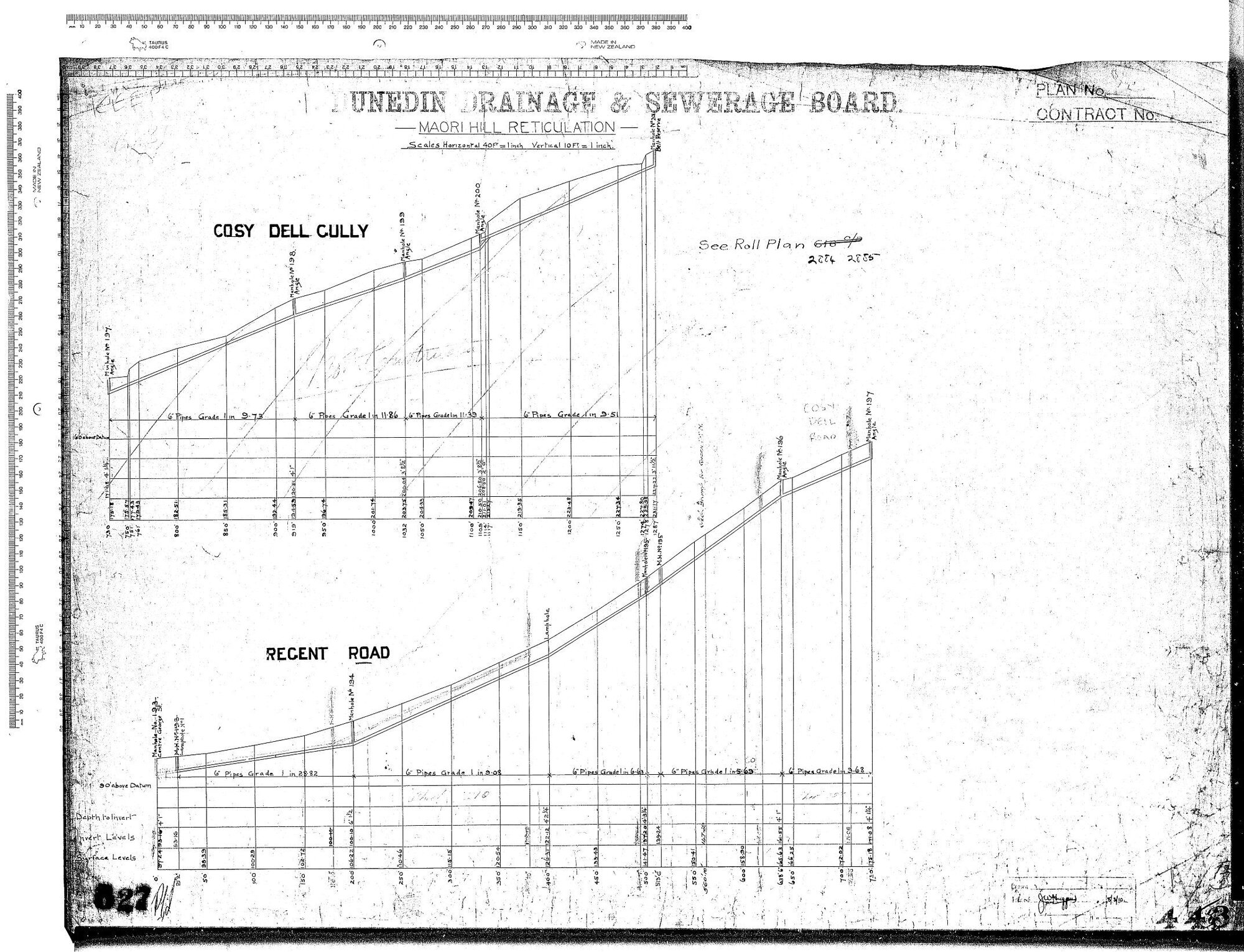 MAORI HILL RETICULATION 