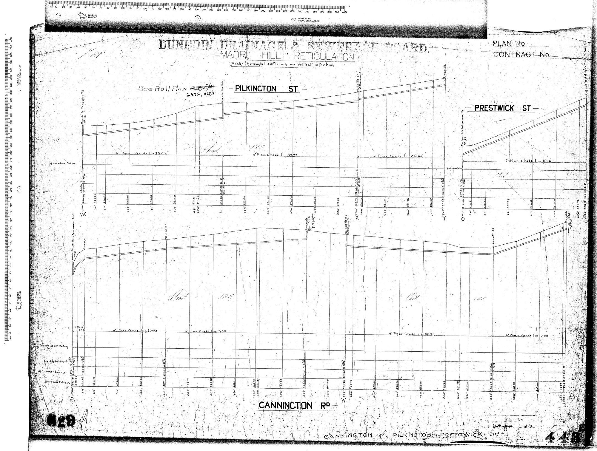 MAORI HILL RETICULATION 