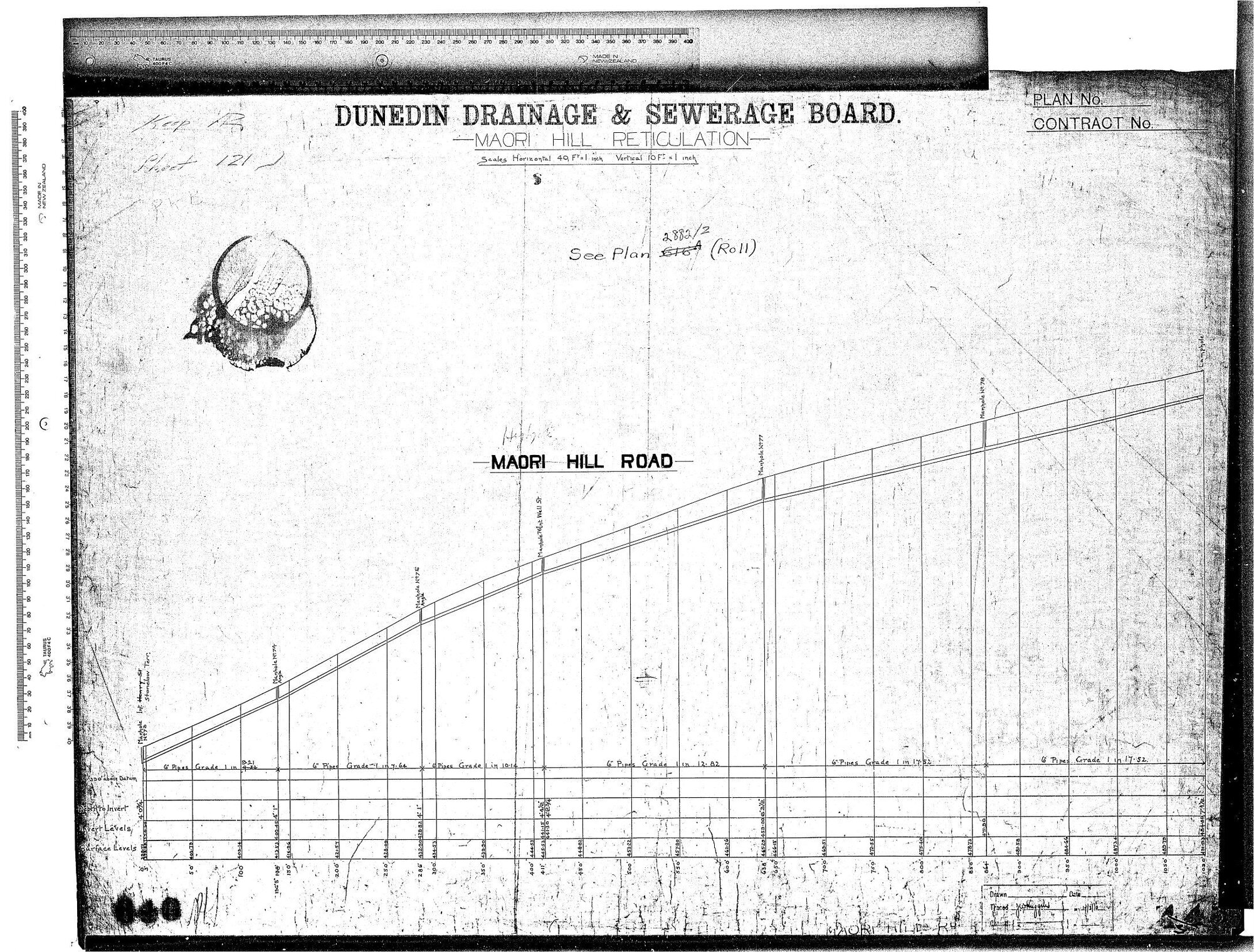 MAORI HILL RETICULATION 