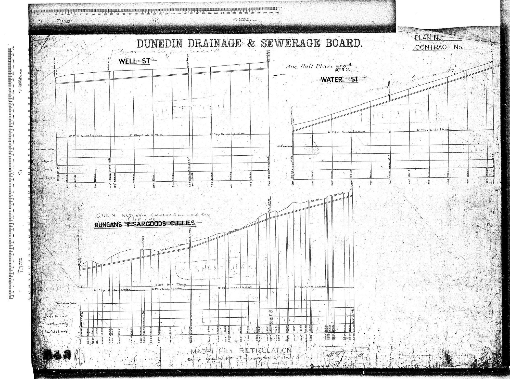MAORI HILL RETICULATION 