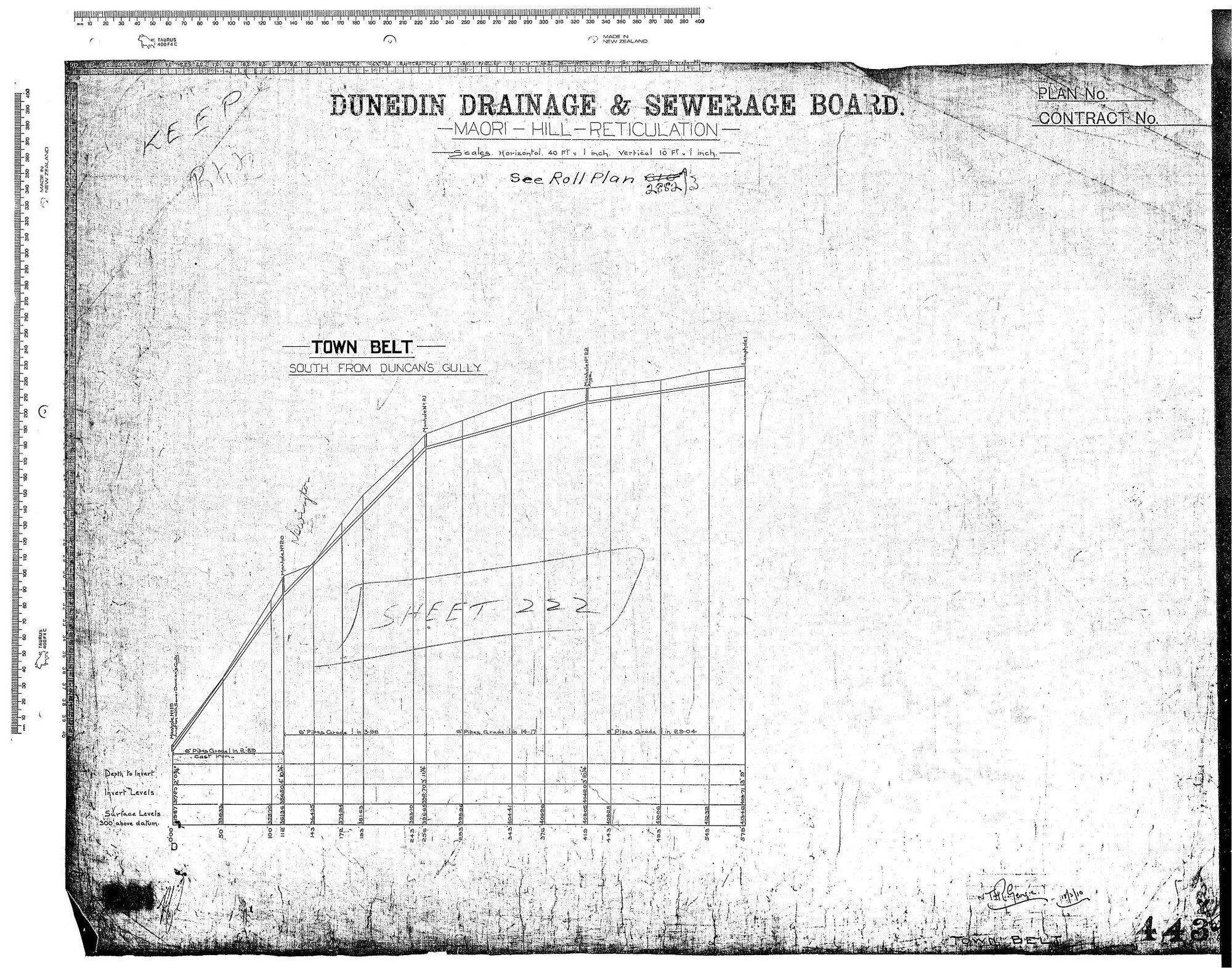 MAORI HILL RETICULATION  - TOWN BELT