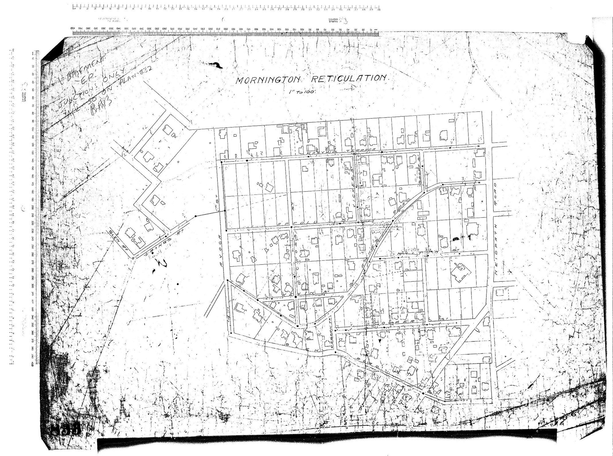 MORNINGTON RETICULATION