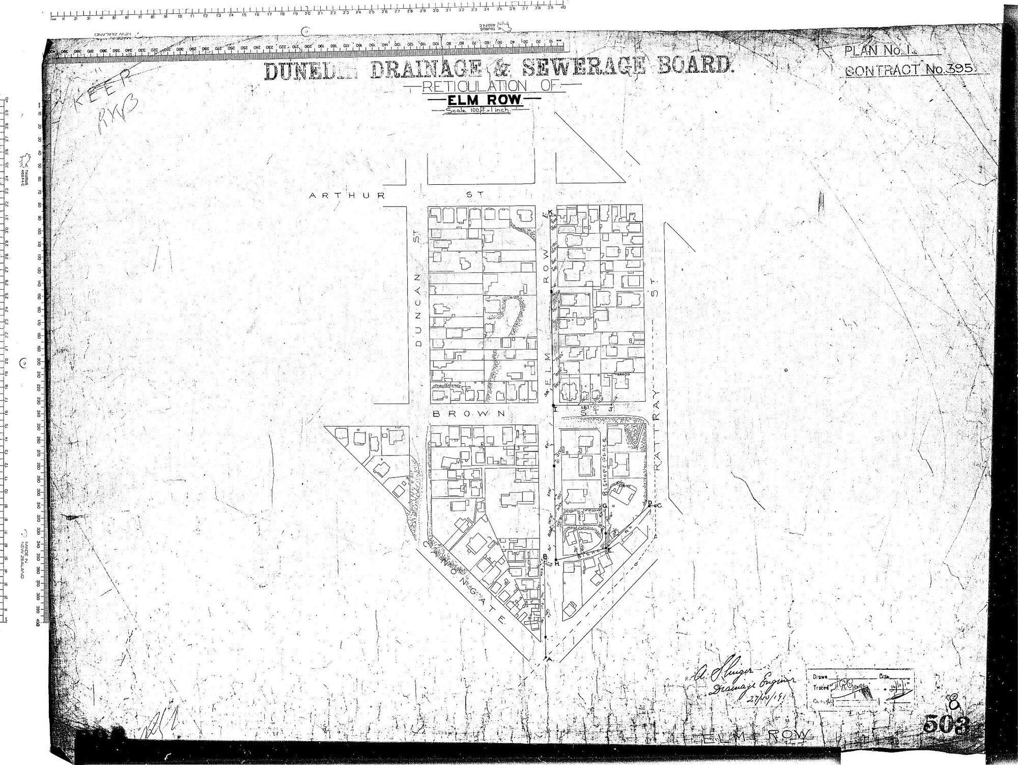 RETICULATION OF ELM ROW
