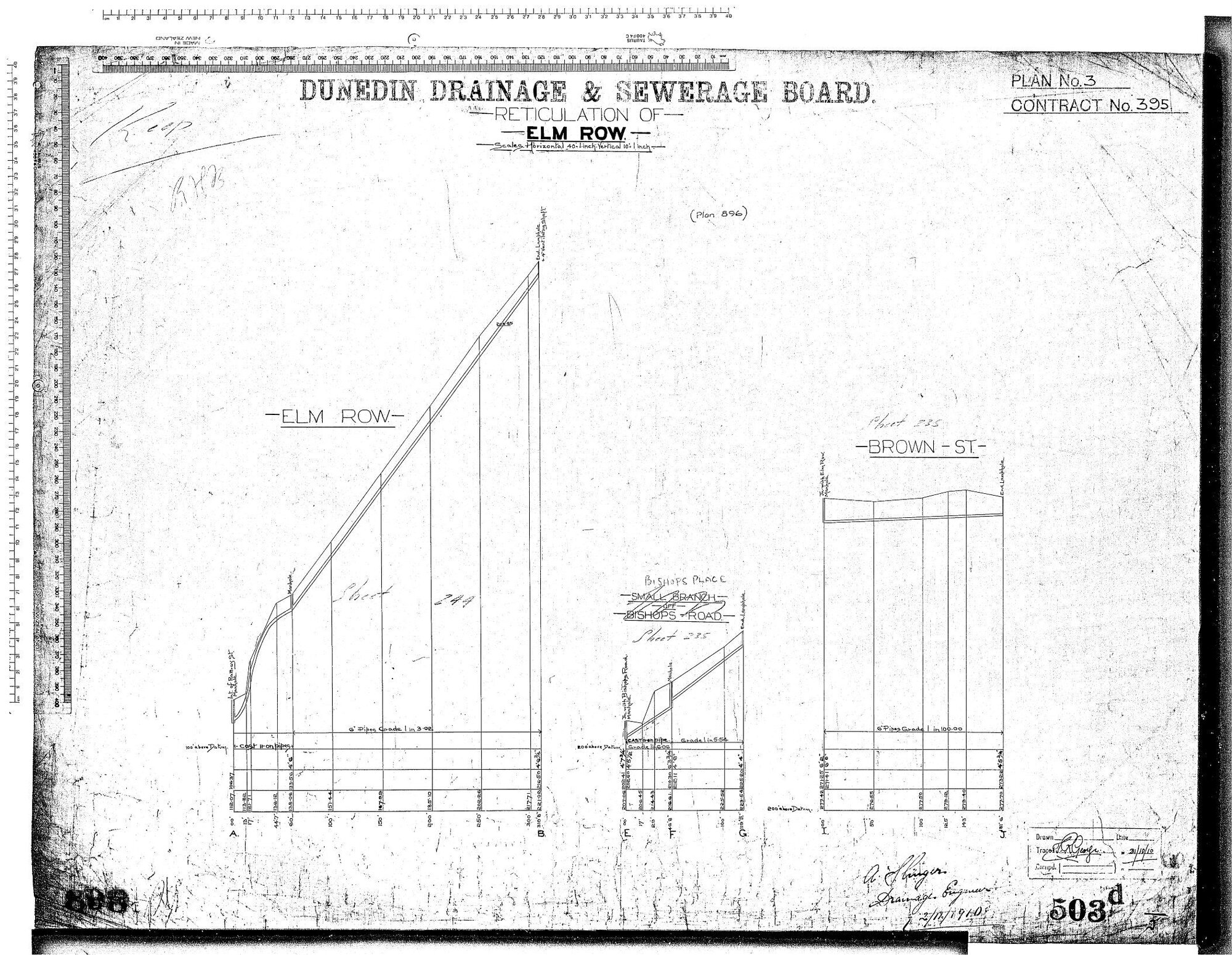 RETICULATION OF ELM ROW