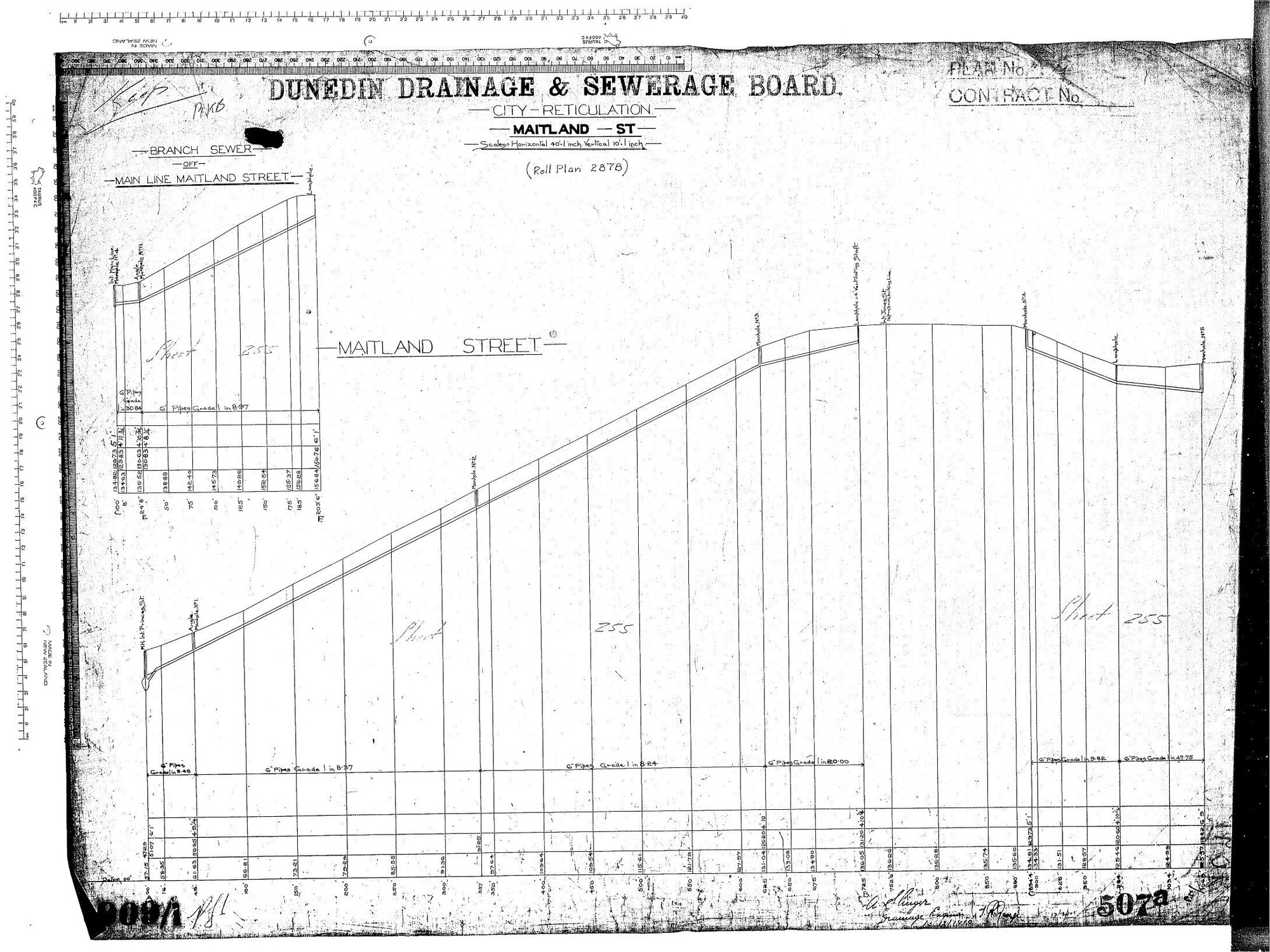 CITY RETICULATION &ndash; MAITLAND STREET
