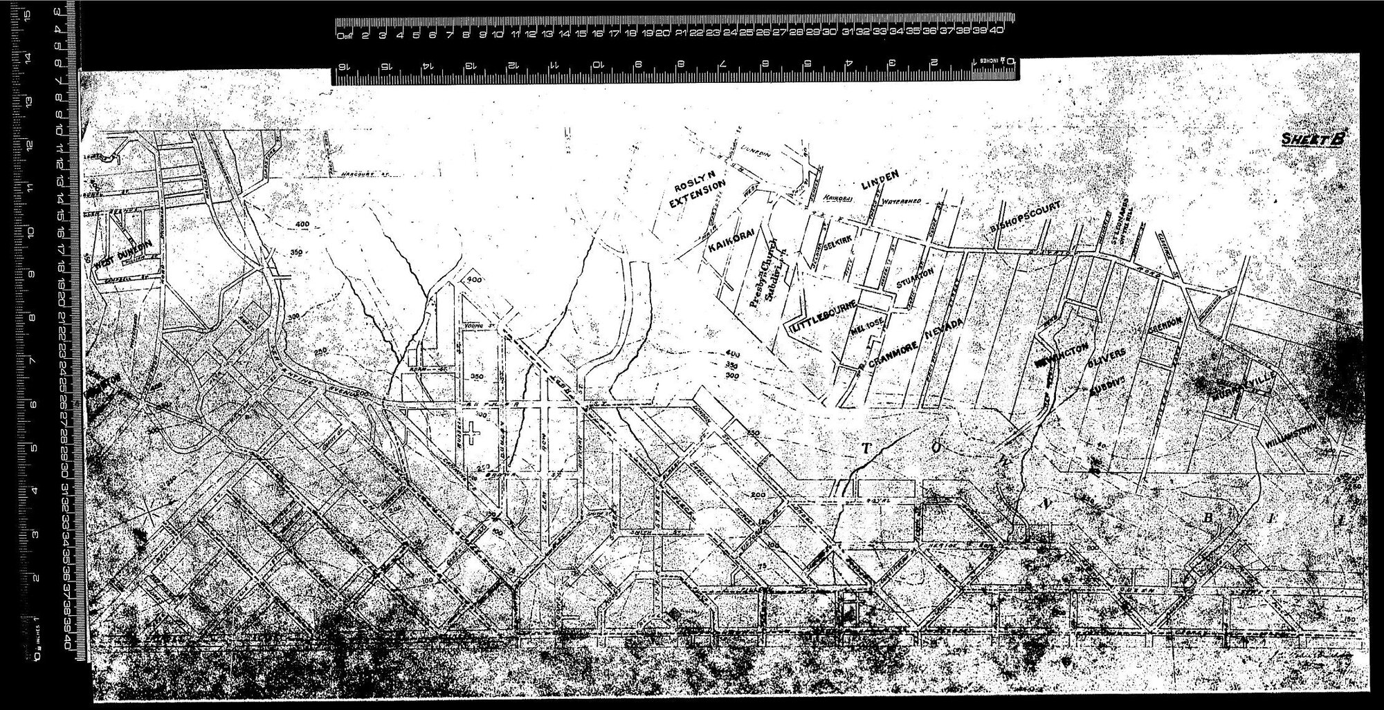 DUNEDIN MAP - CENTRAL TOWN BELT
