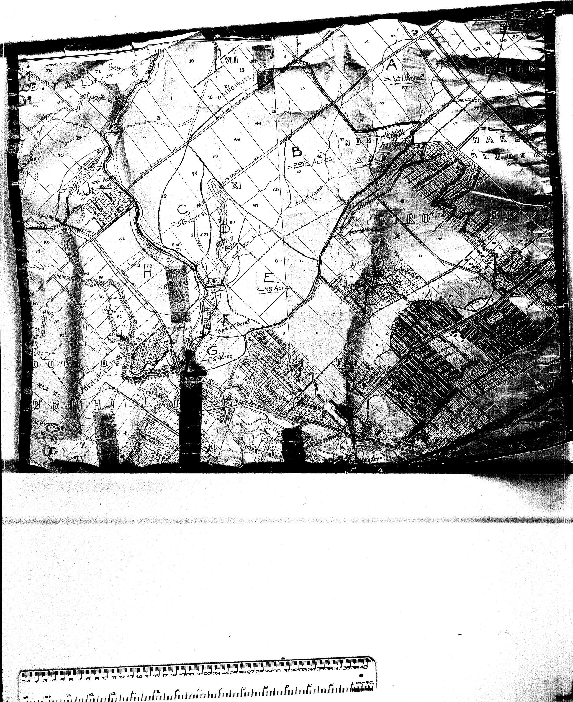DUNEDIN MAP AREAS