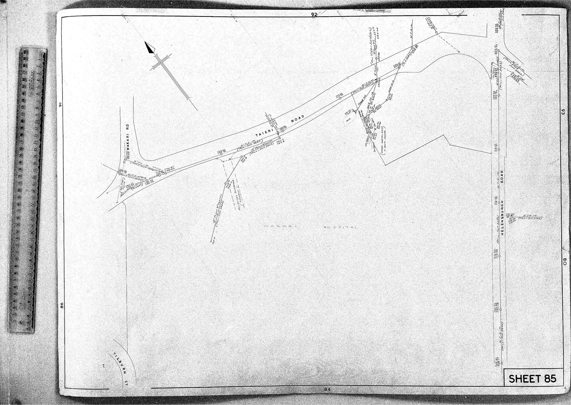 RETICULATION PLAN 85