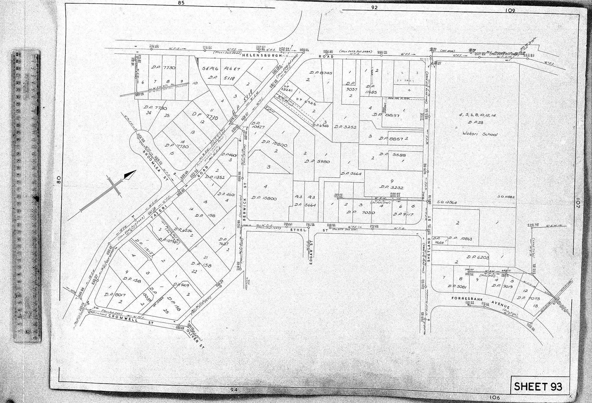 RETICULATION PLAN 93