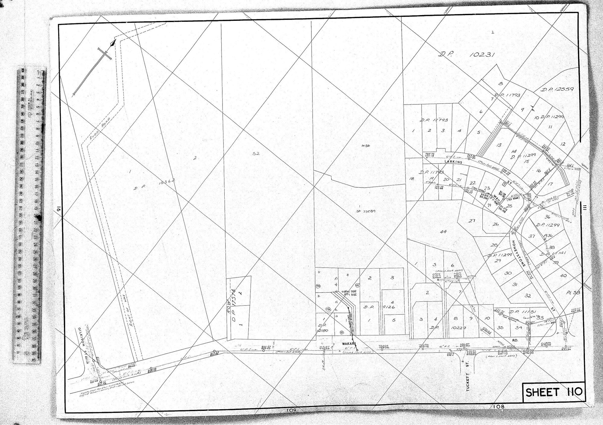 RETICULATION PLAN 110