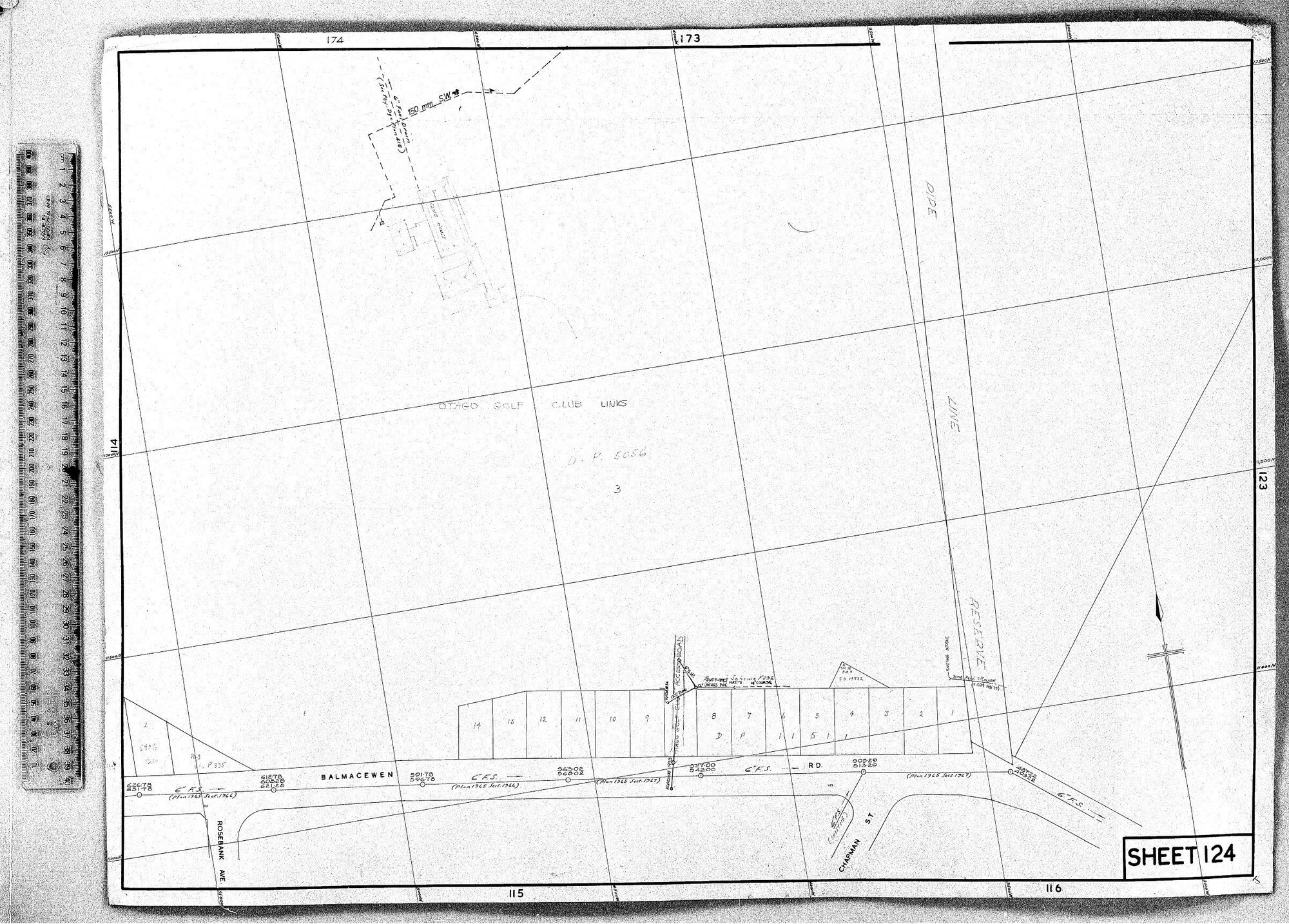 RETICULATION PLAN 124