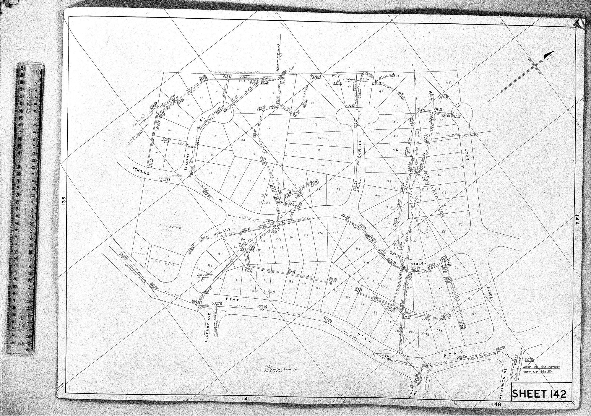 RETICULATION PLAN 142