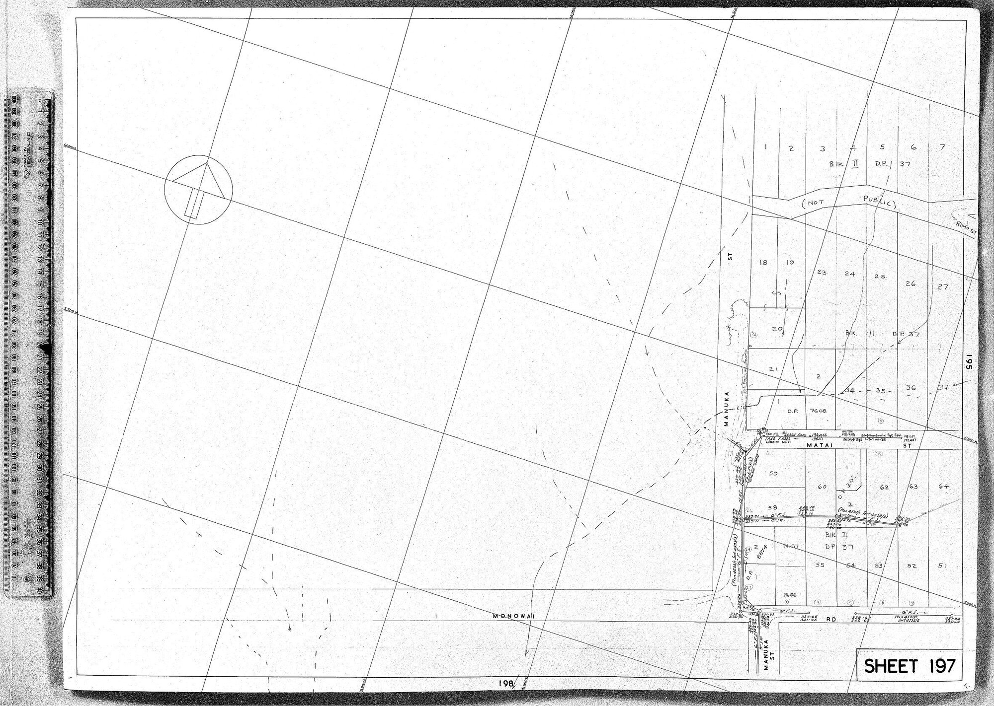 RETICULATION PLAN 197