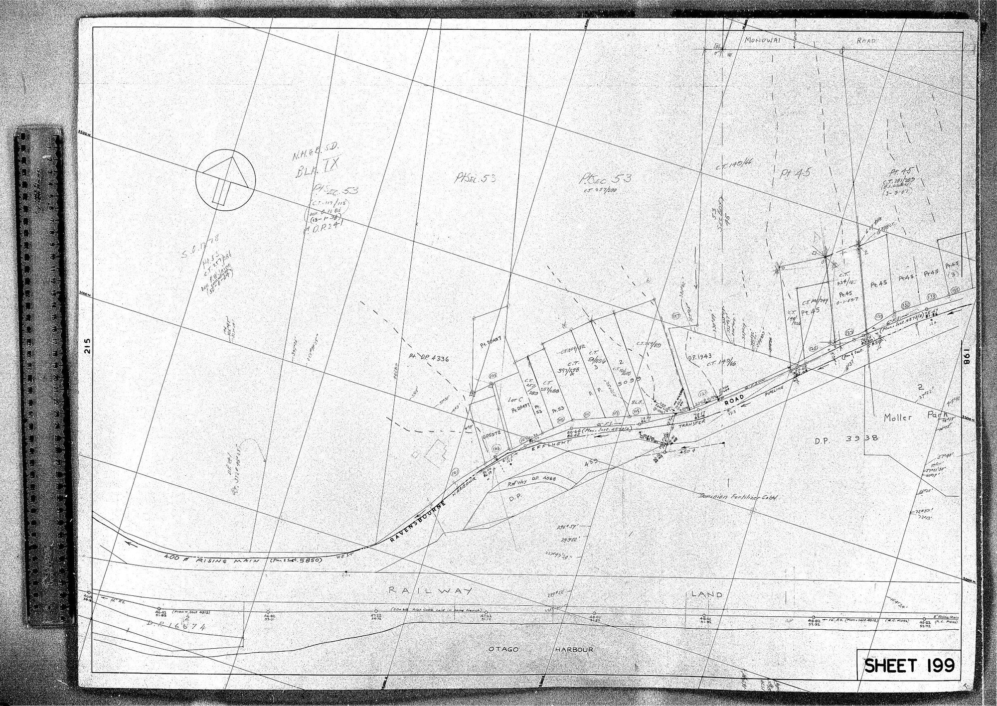 RETICULATION PLAN 199