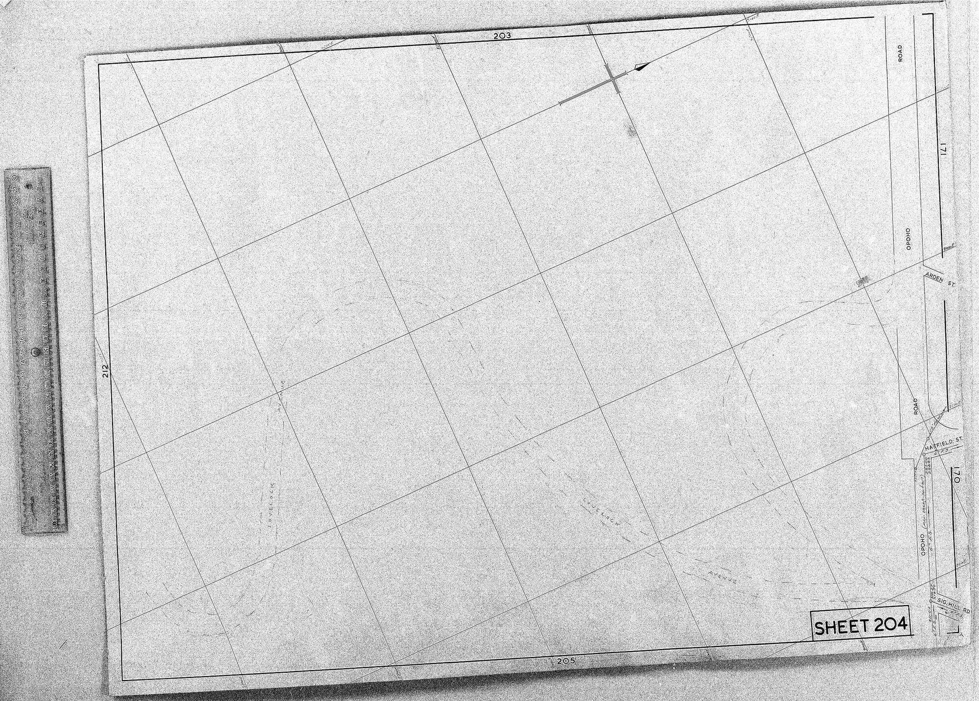RETICULATION PLAN 204