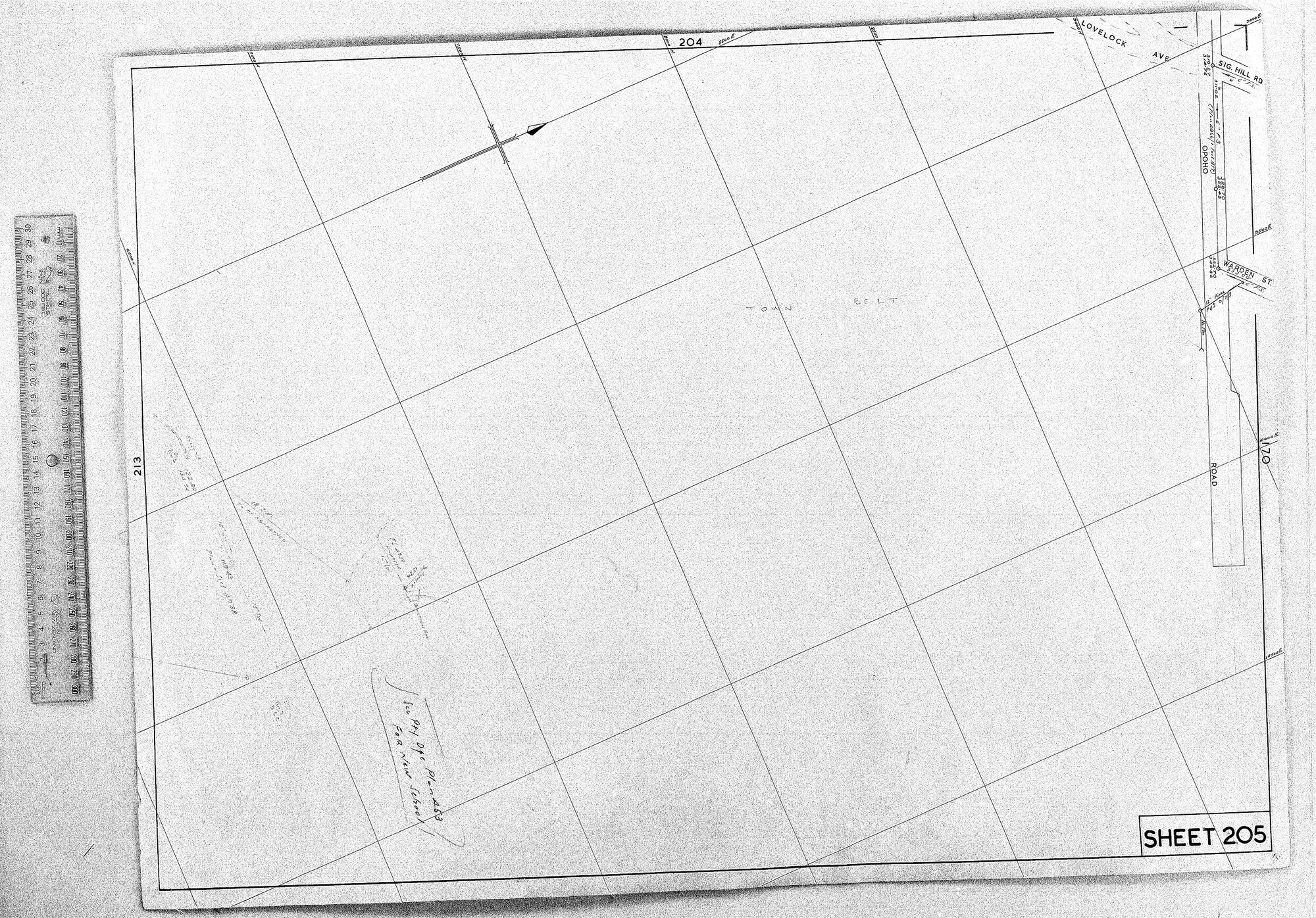 RETICULATION PLAN 205