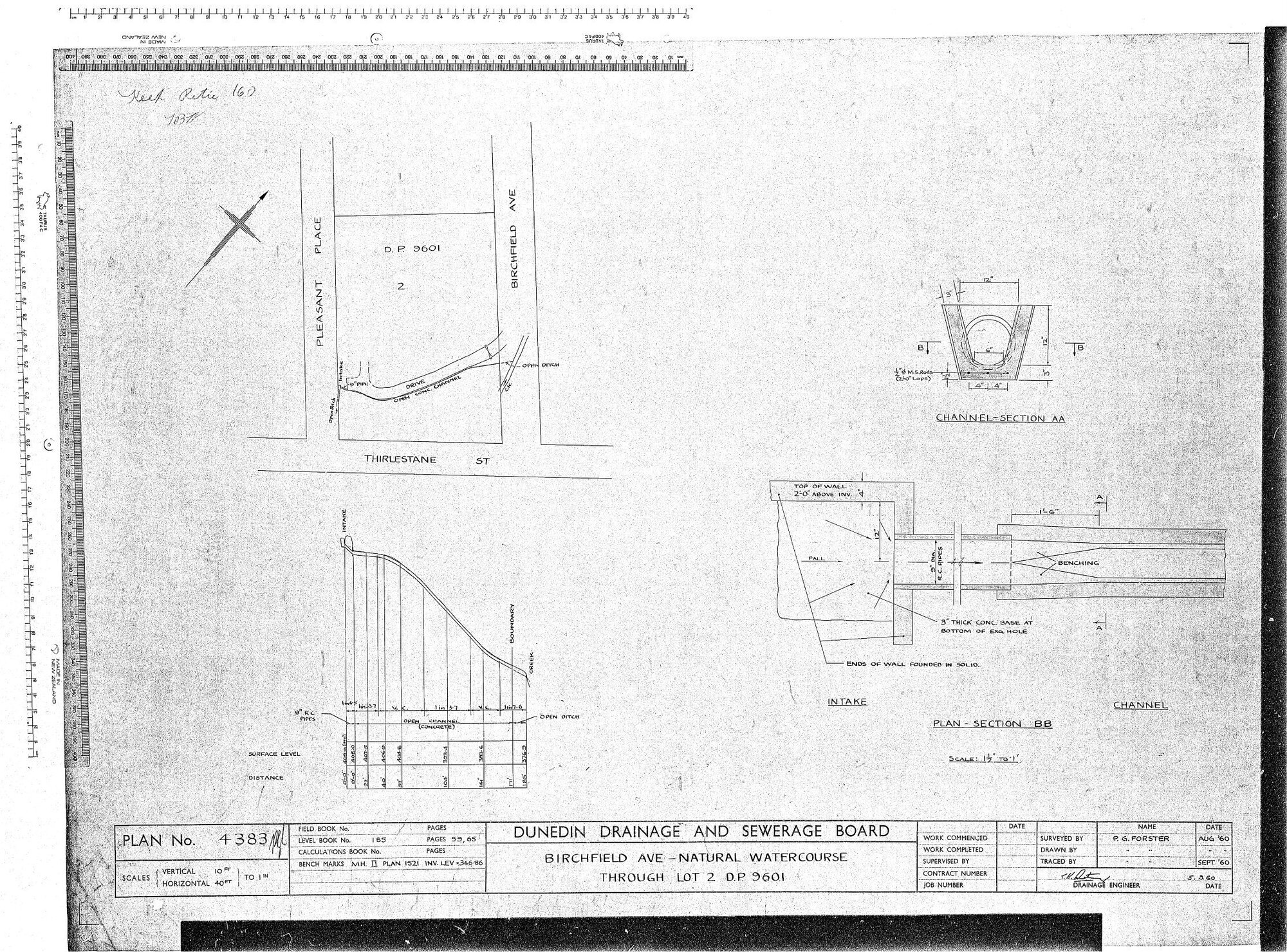 BIRCHFIELD AVE - NATURAL WATERCOURSE THROUGH LOT 2 D.P. 9601