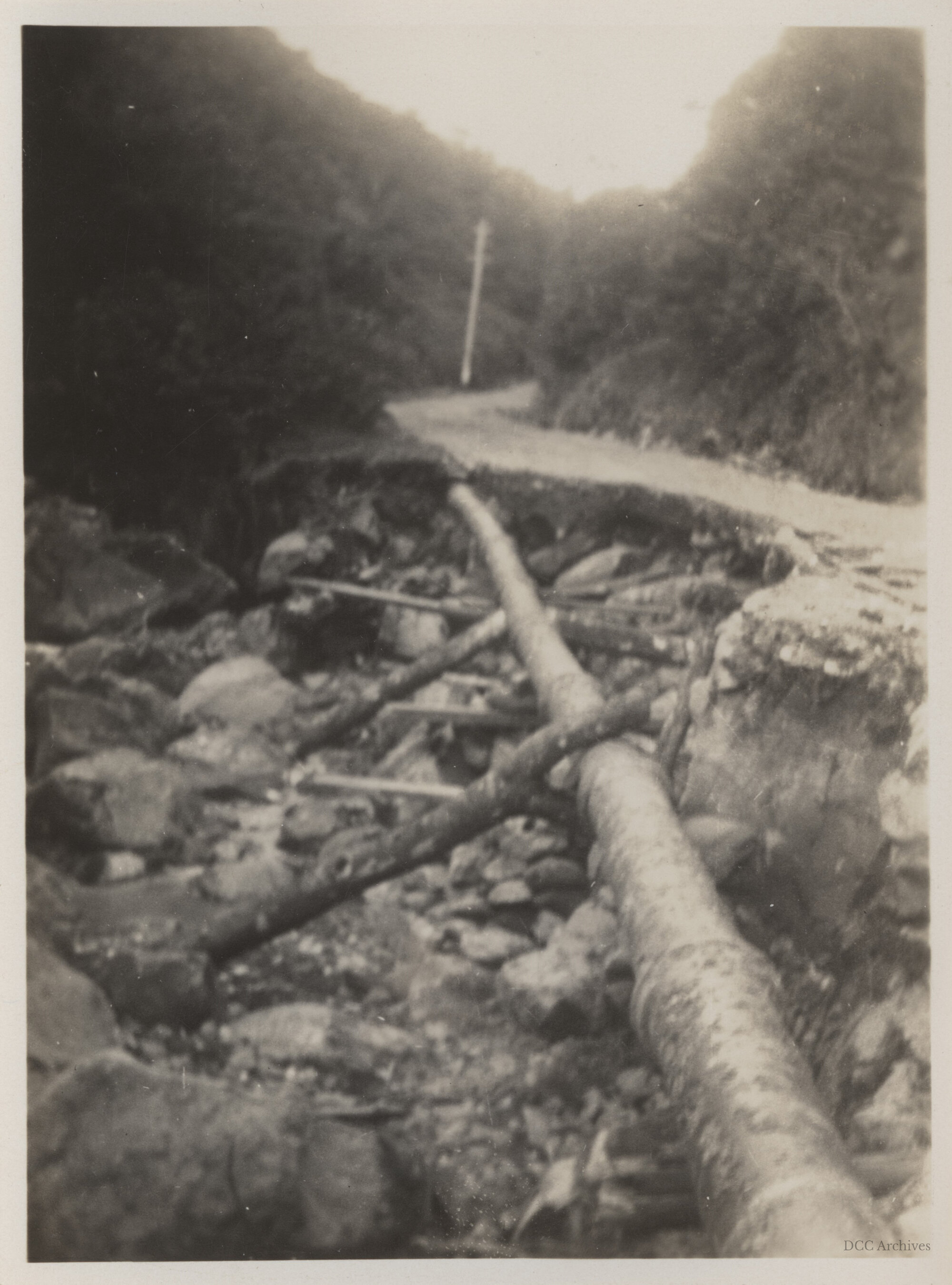 Leith Valley Road Erosion