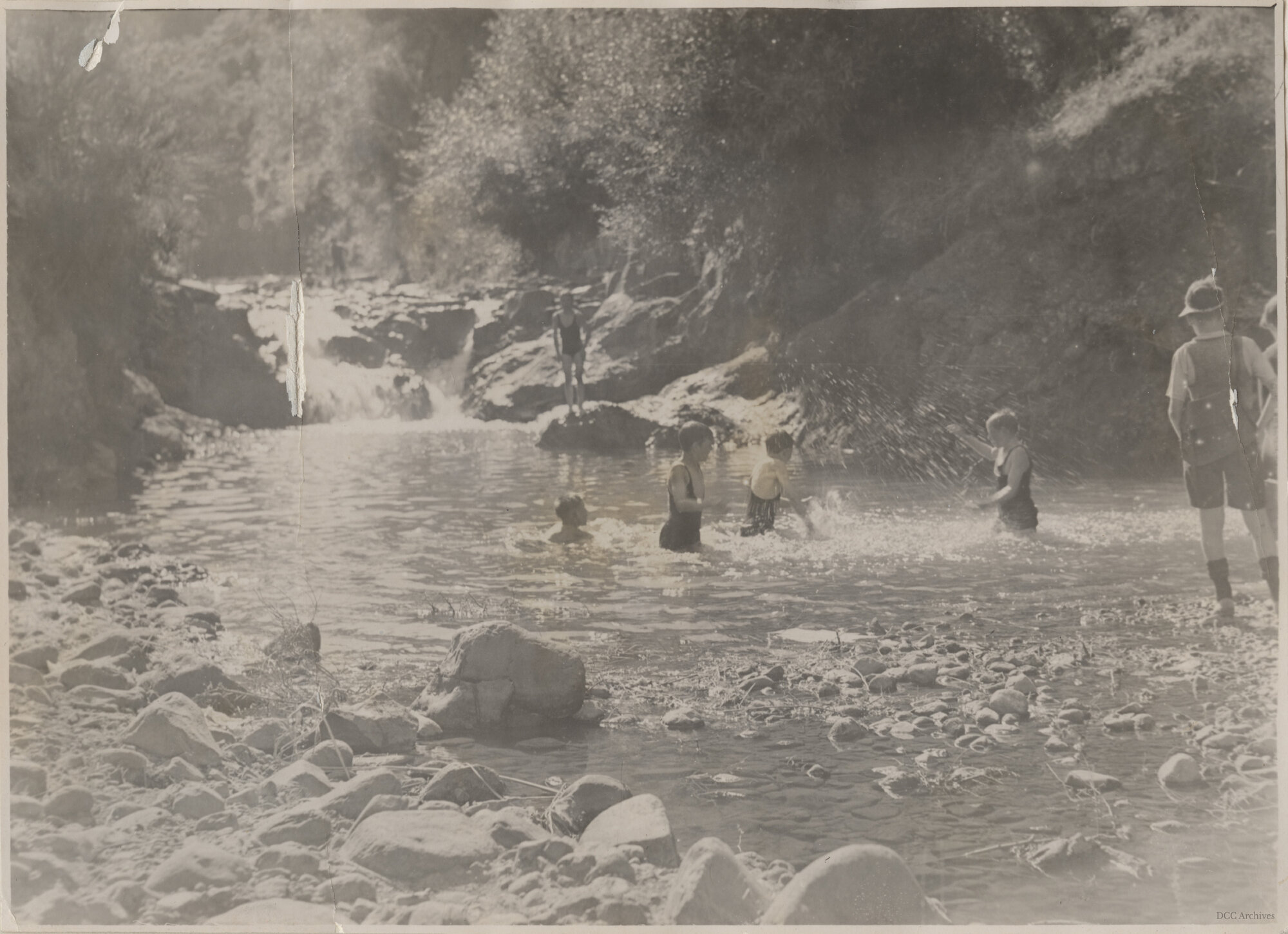 Waterhole in Woodhaugh Gardens