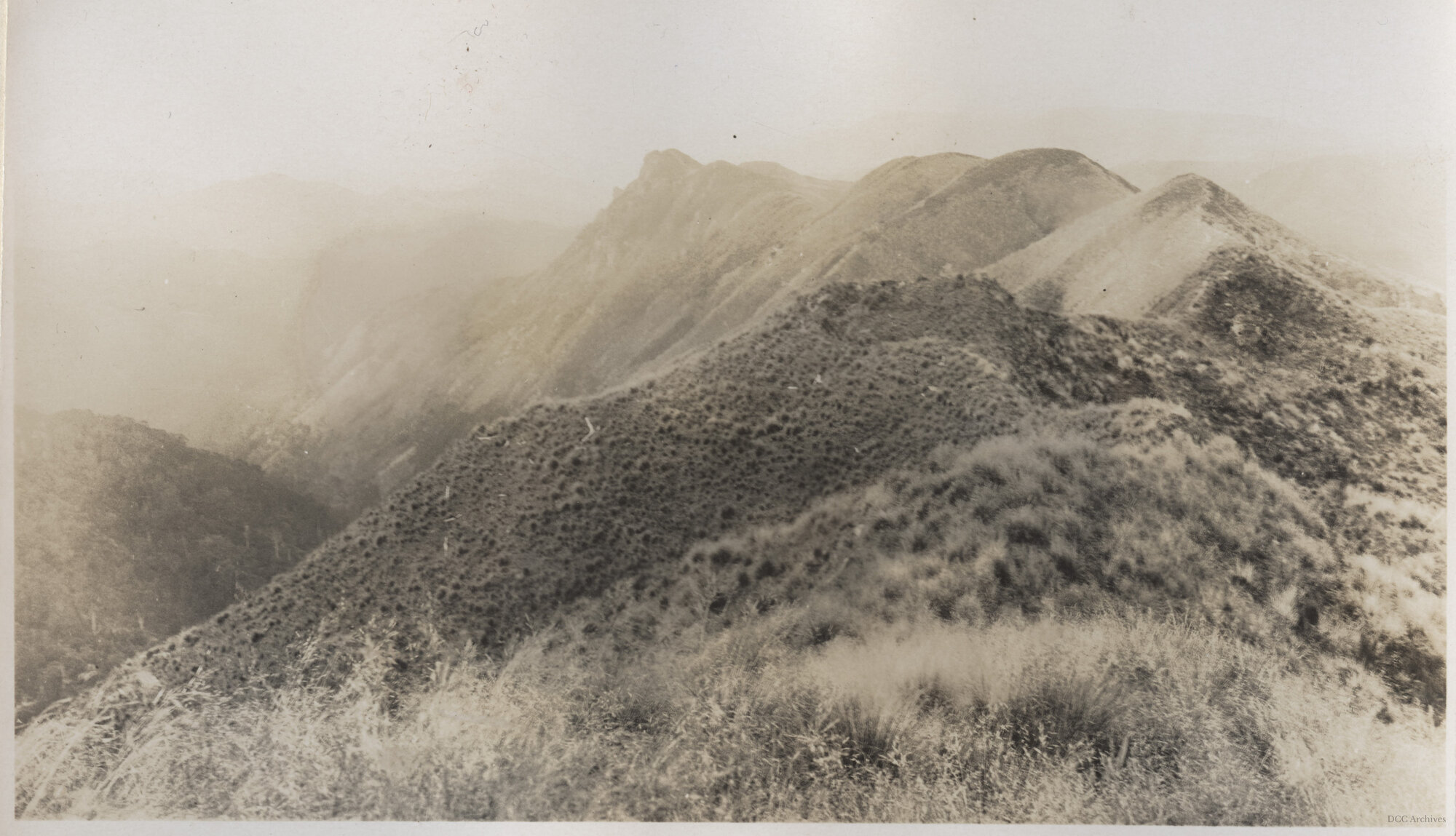 Silverpeak County