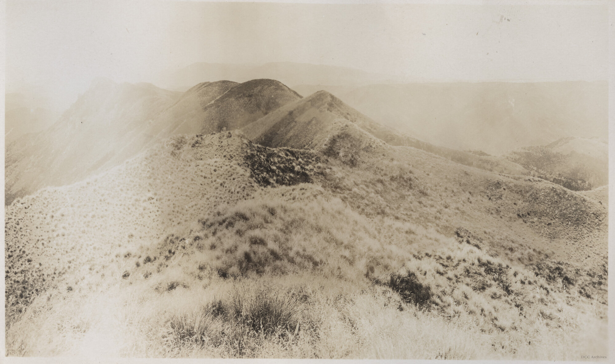Silverpeak County
