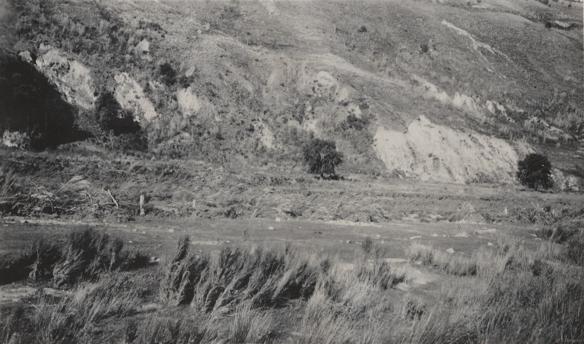 Silverstream After the 1929 Flood