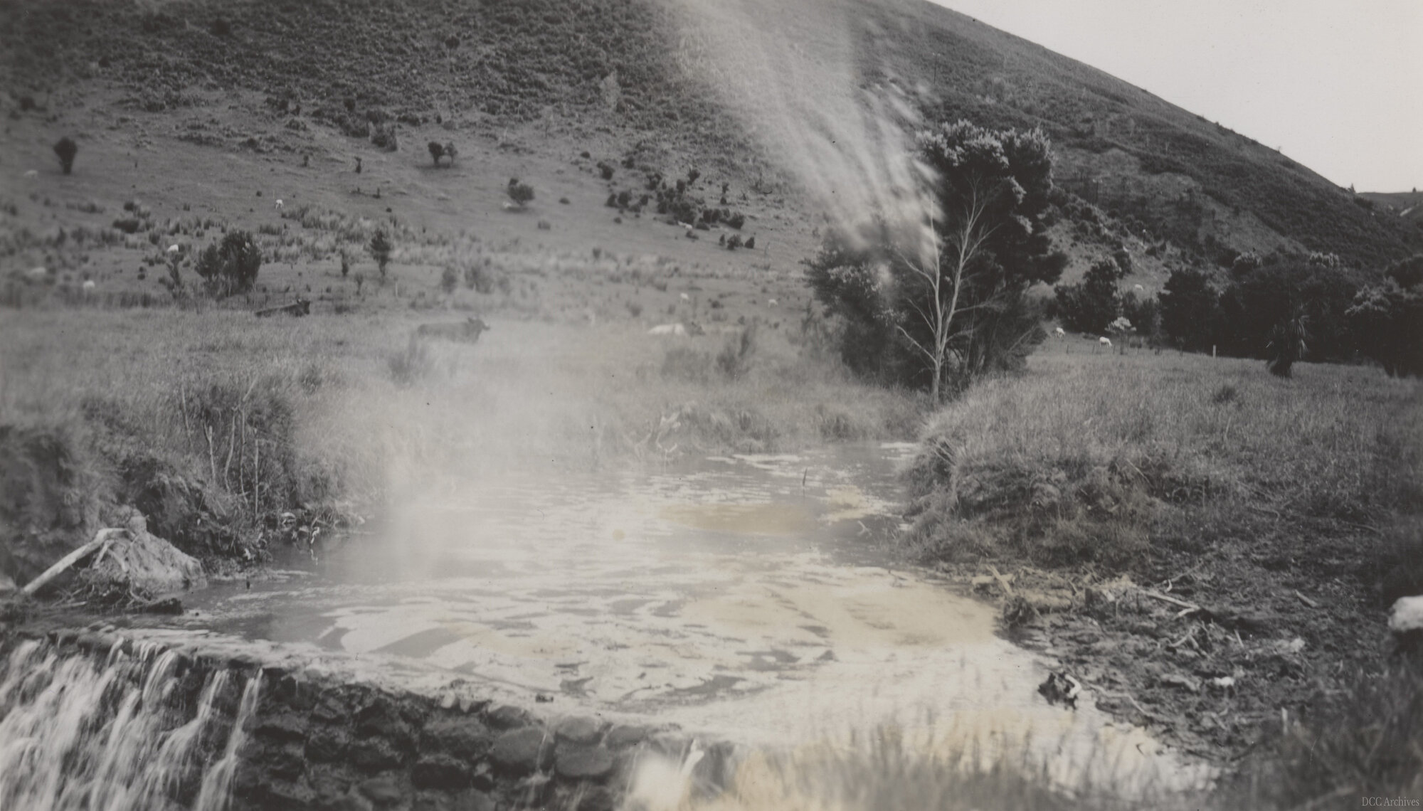 Thompson's Property, Mill Creek