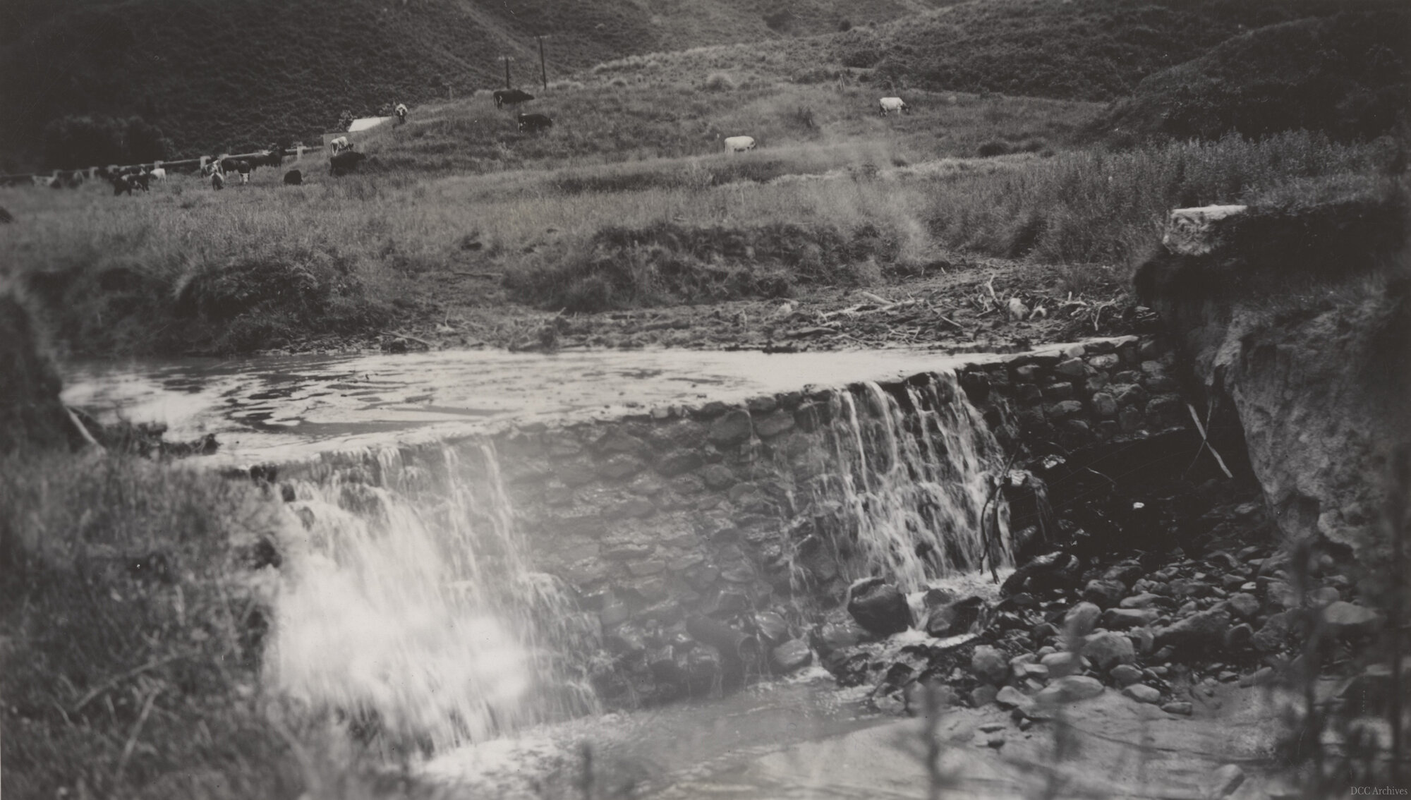 Thompson's Property, Mill Creek