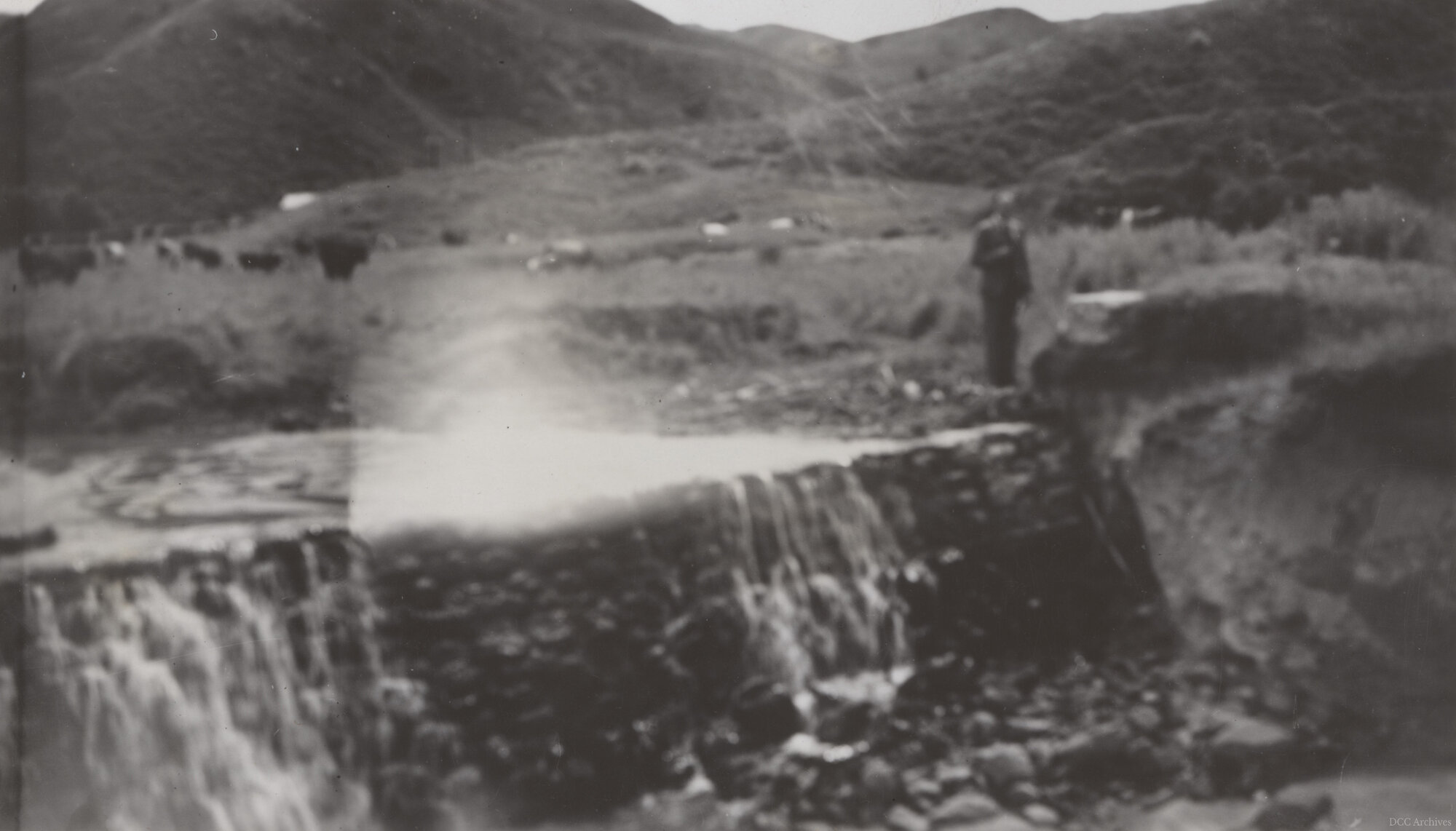 Thompson's Property, Mill Creek