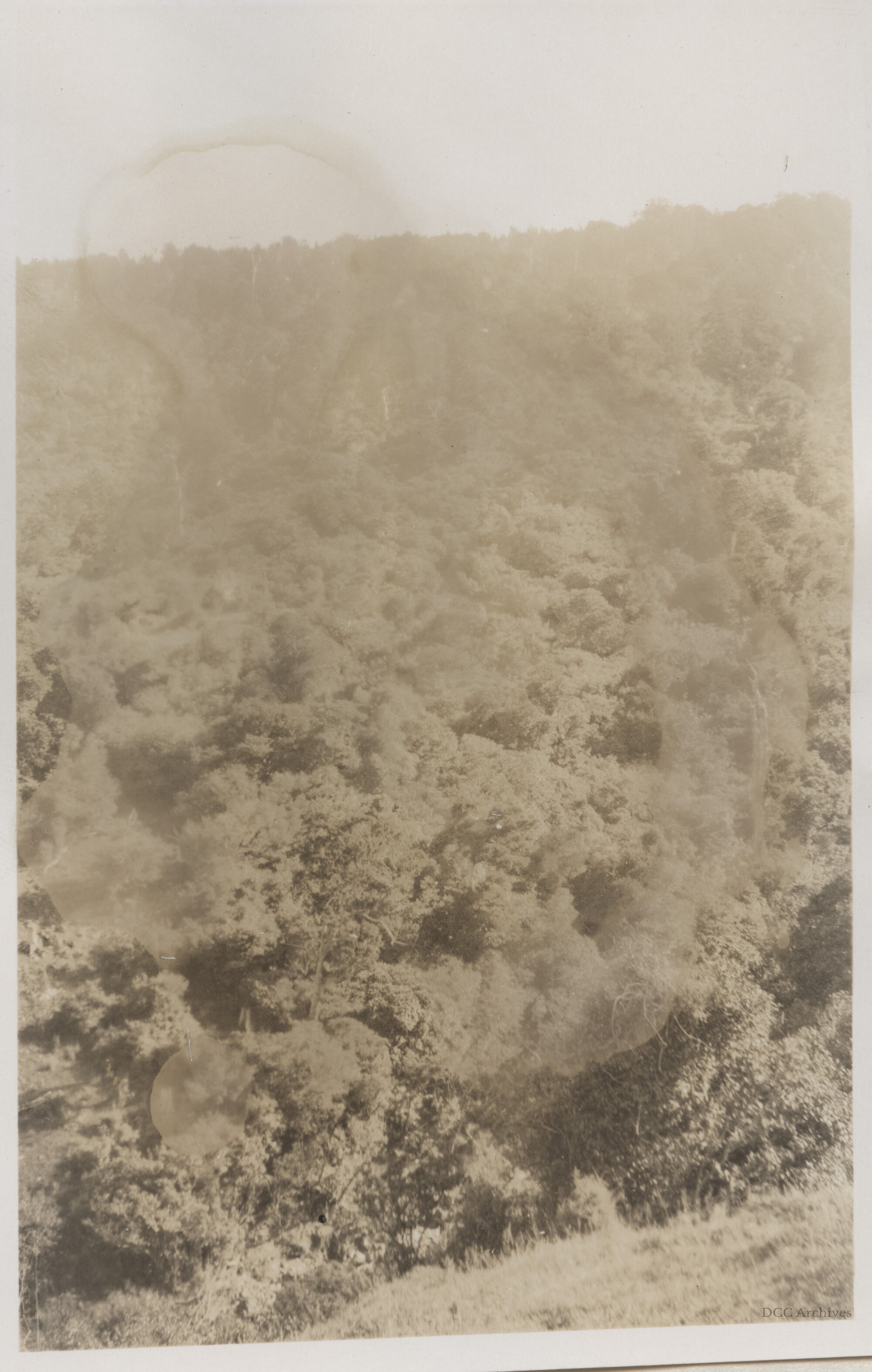 Bethune's Gully