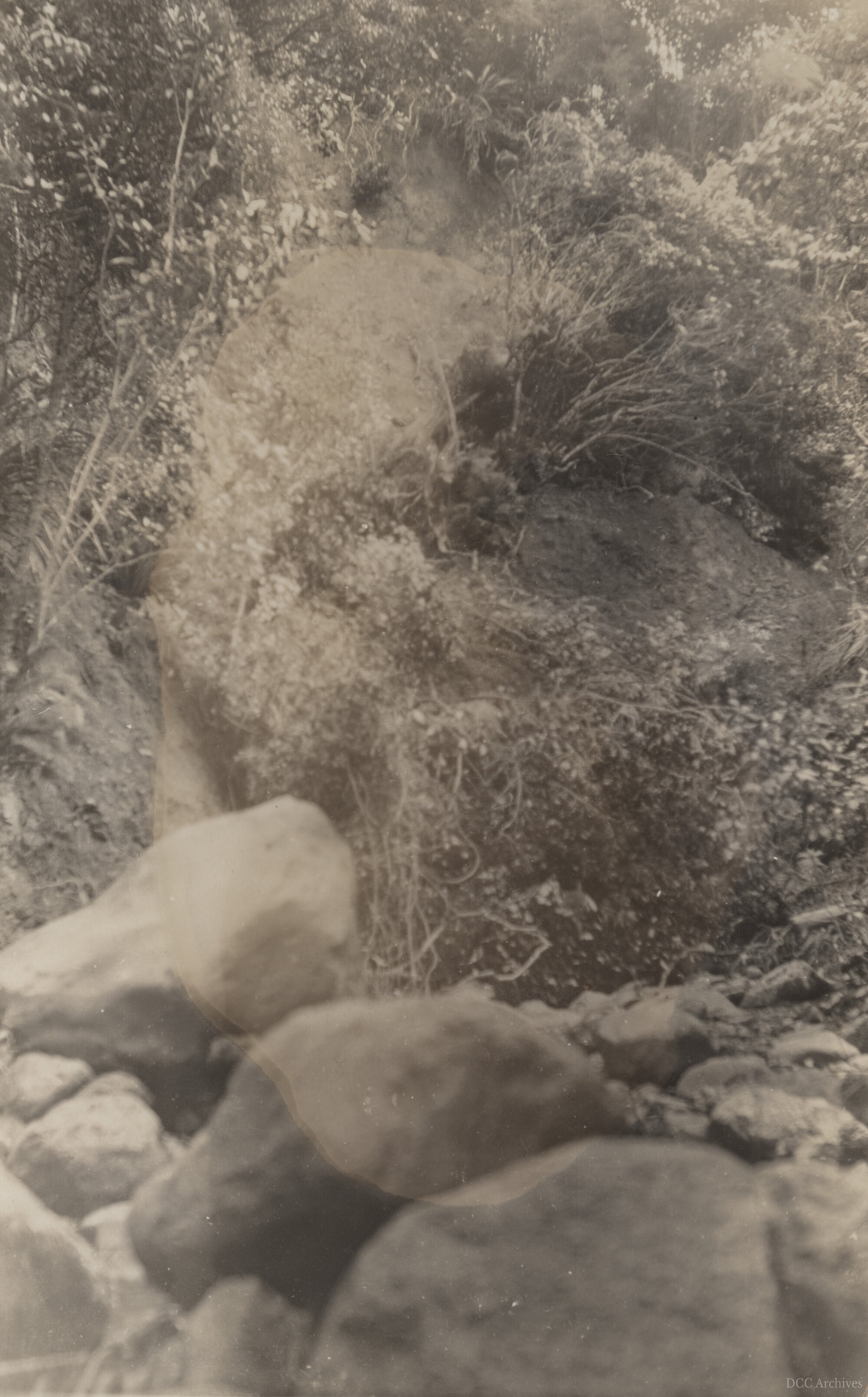 Morrison's Creek