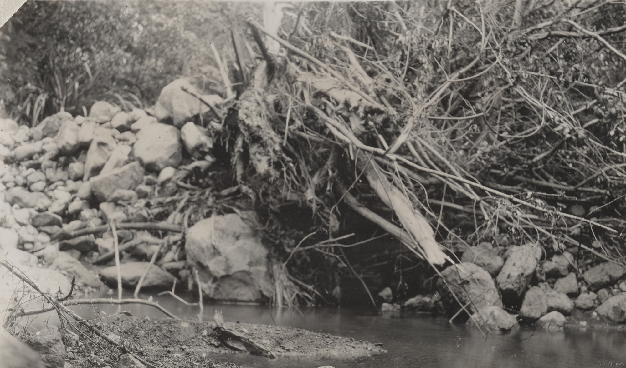 Morrison's Creek