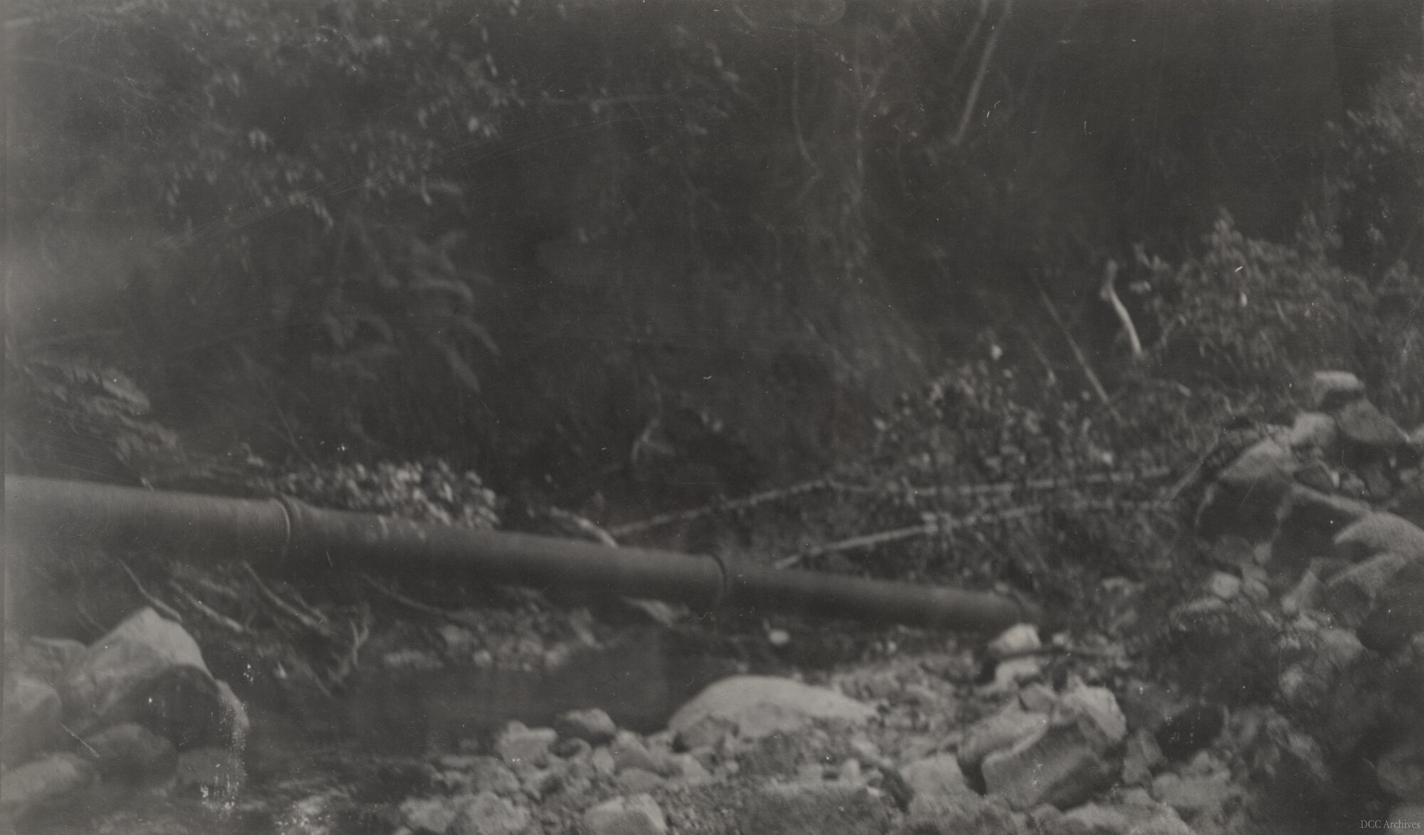 Morrison's Creek