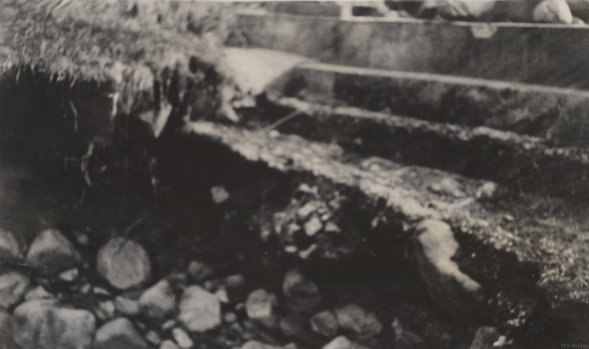 West Branch Intake