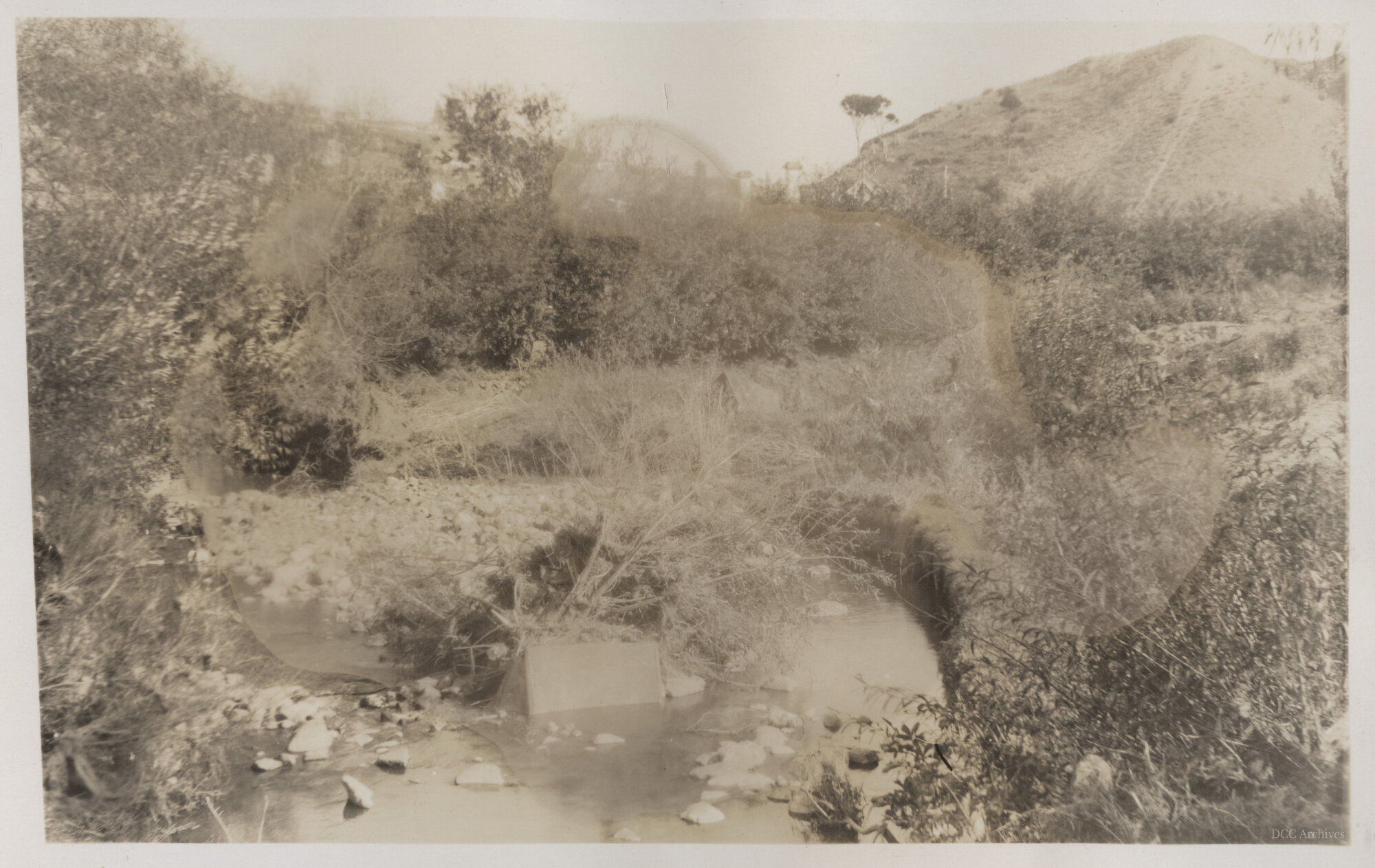 View of Lindsay's Creek