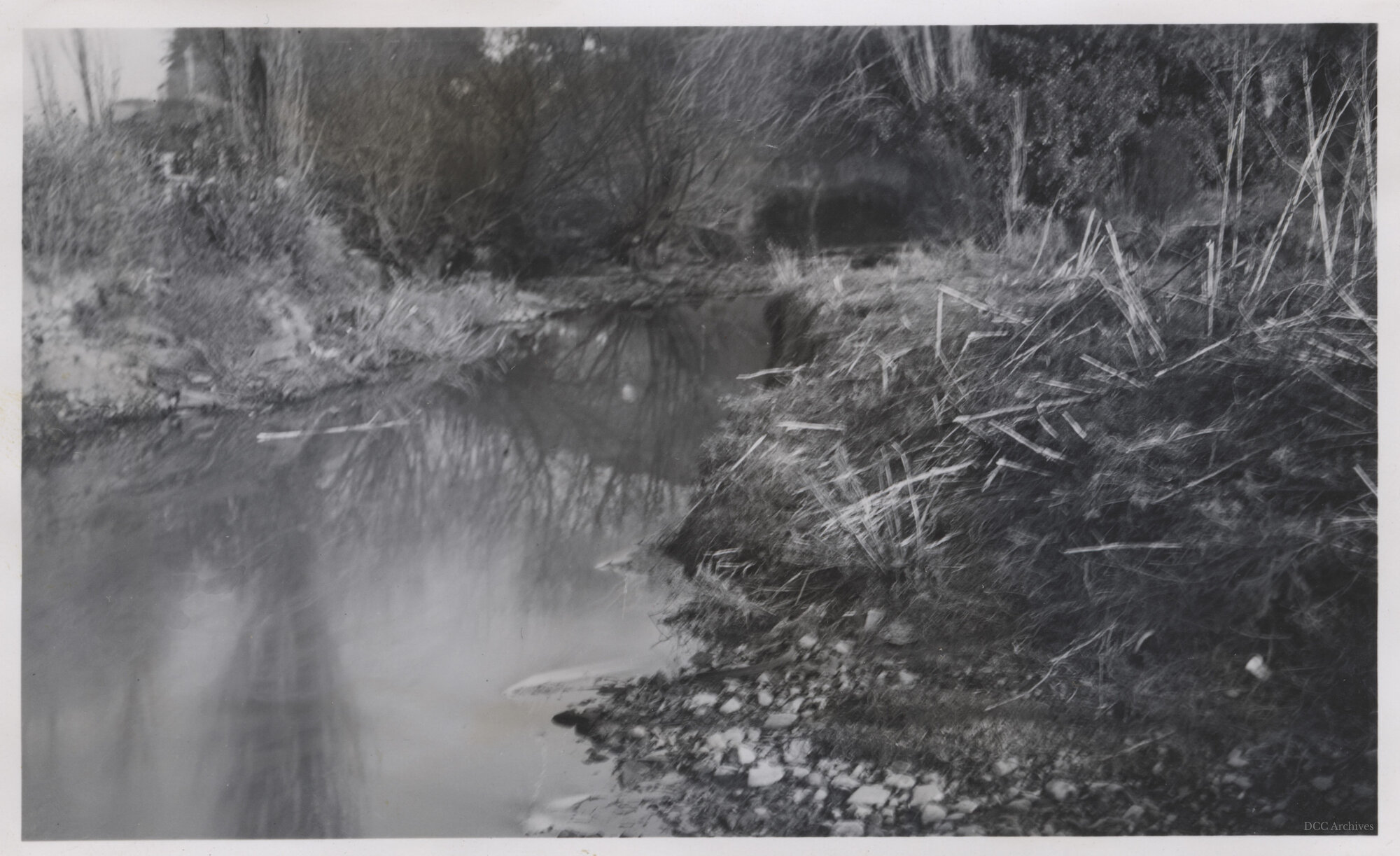 Lindsay's Creek