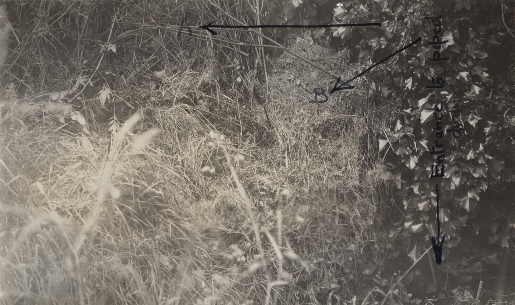 Refuse Dumped on DCC Land